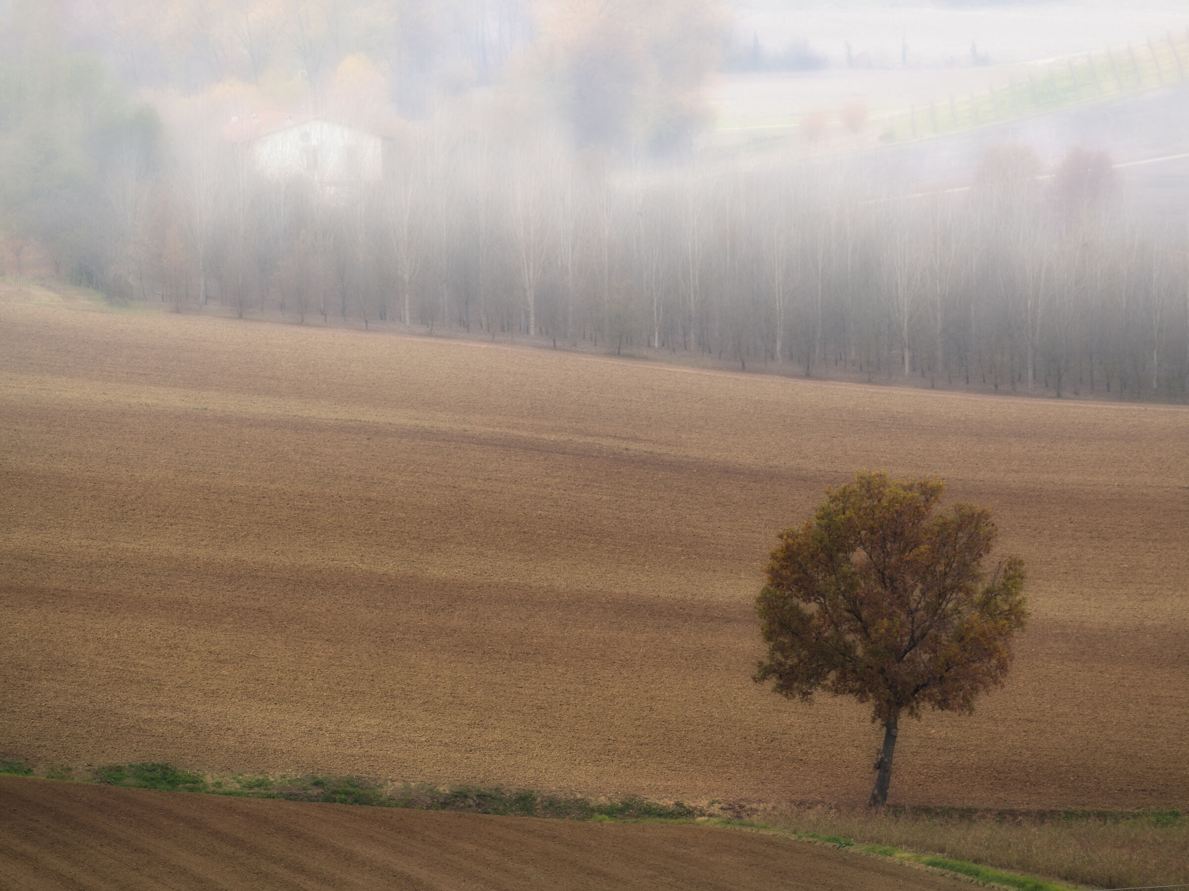 Fog in the Po Valley