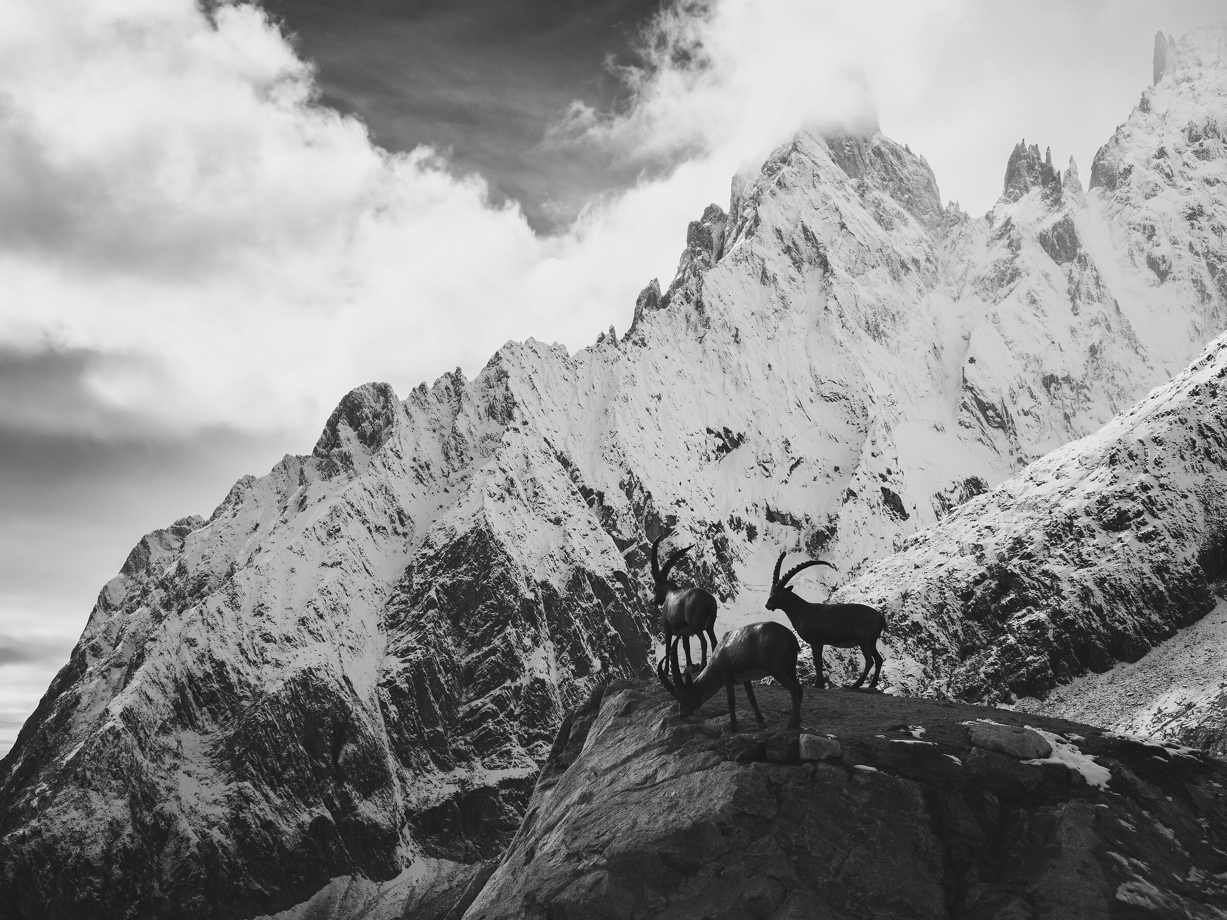 To the Hellbronner peak