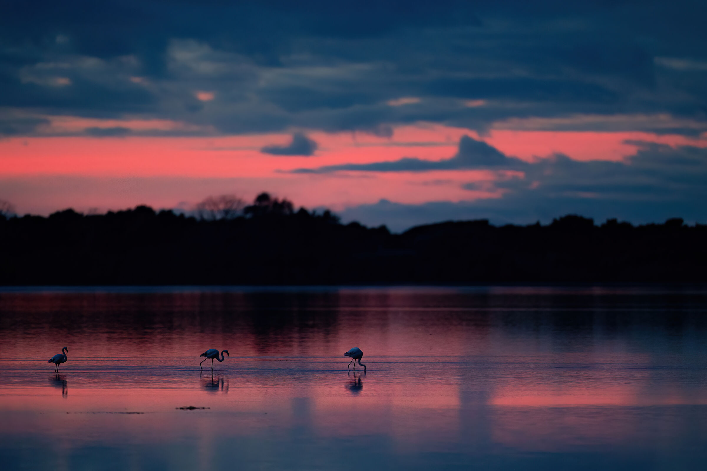 Last Seconds of Light