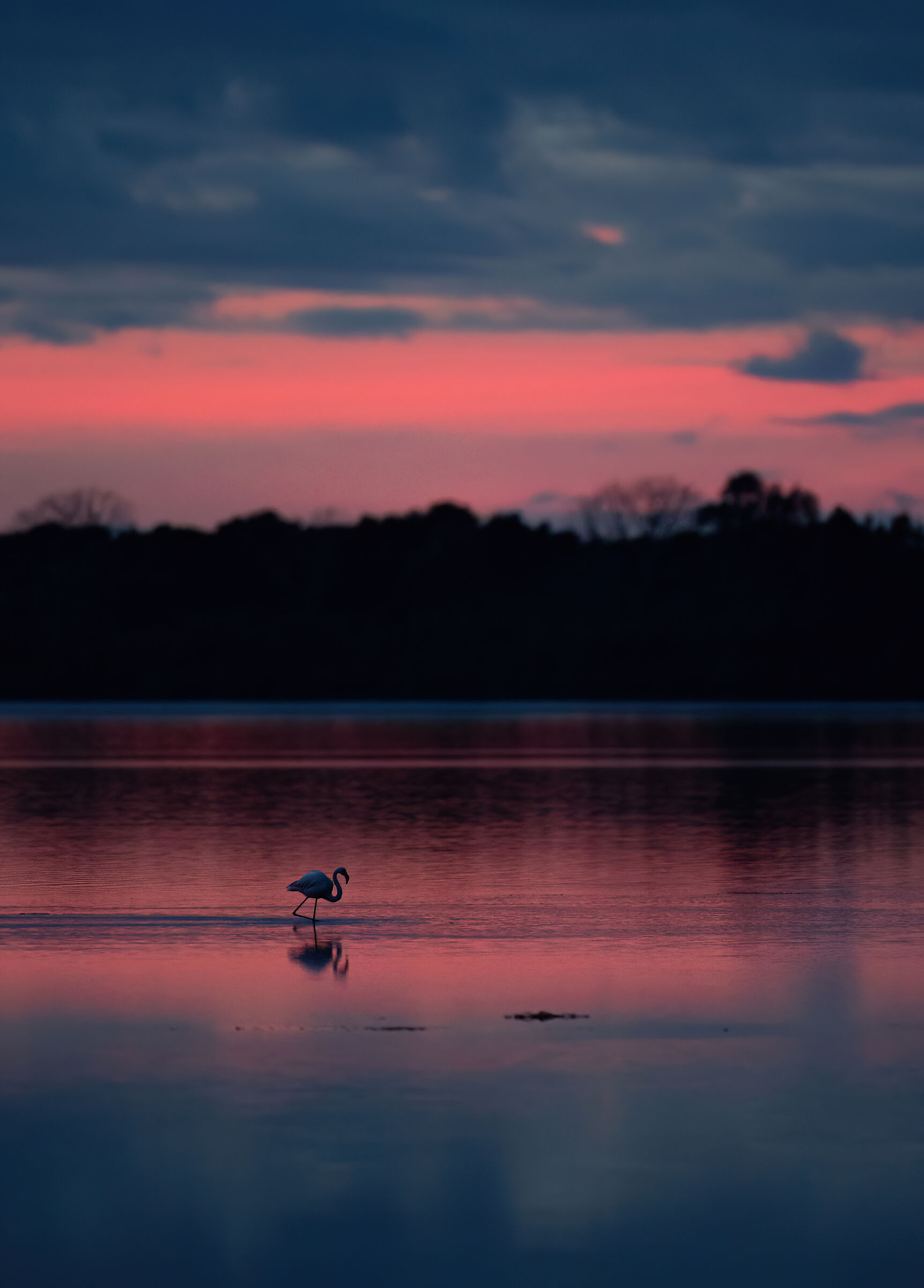 Magical moments