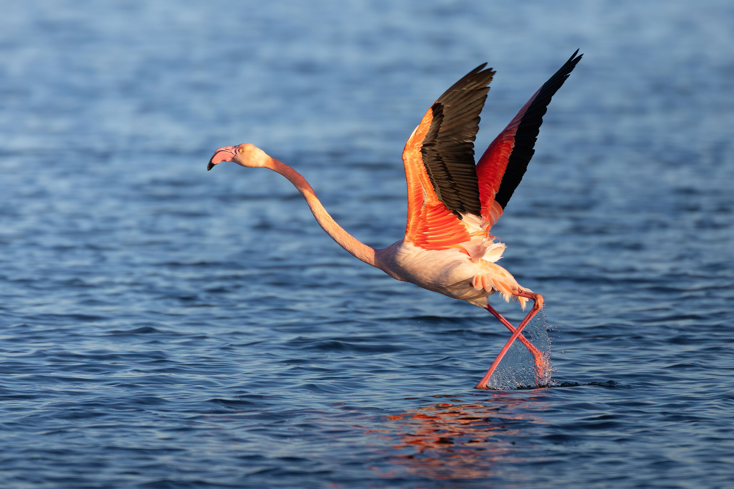 Takeoff