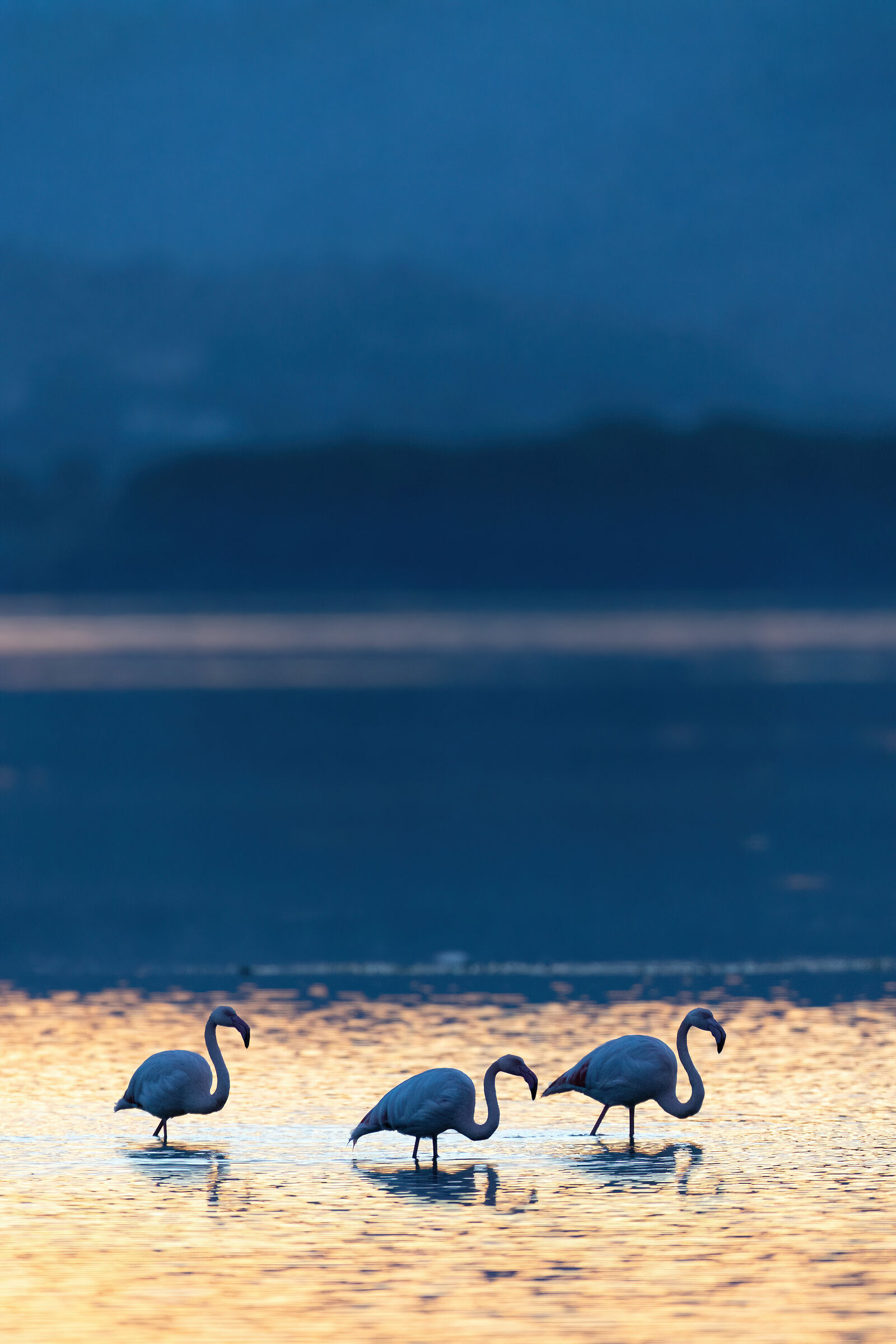 Sunset in Orbetello