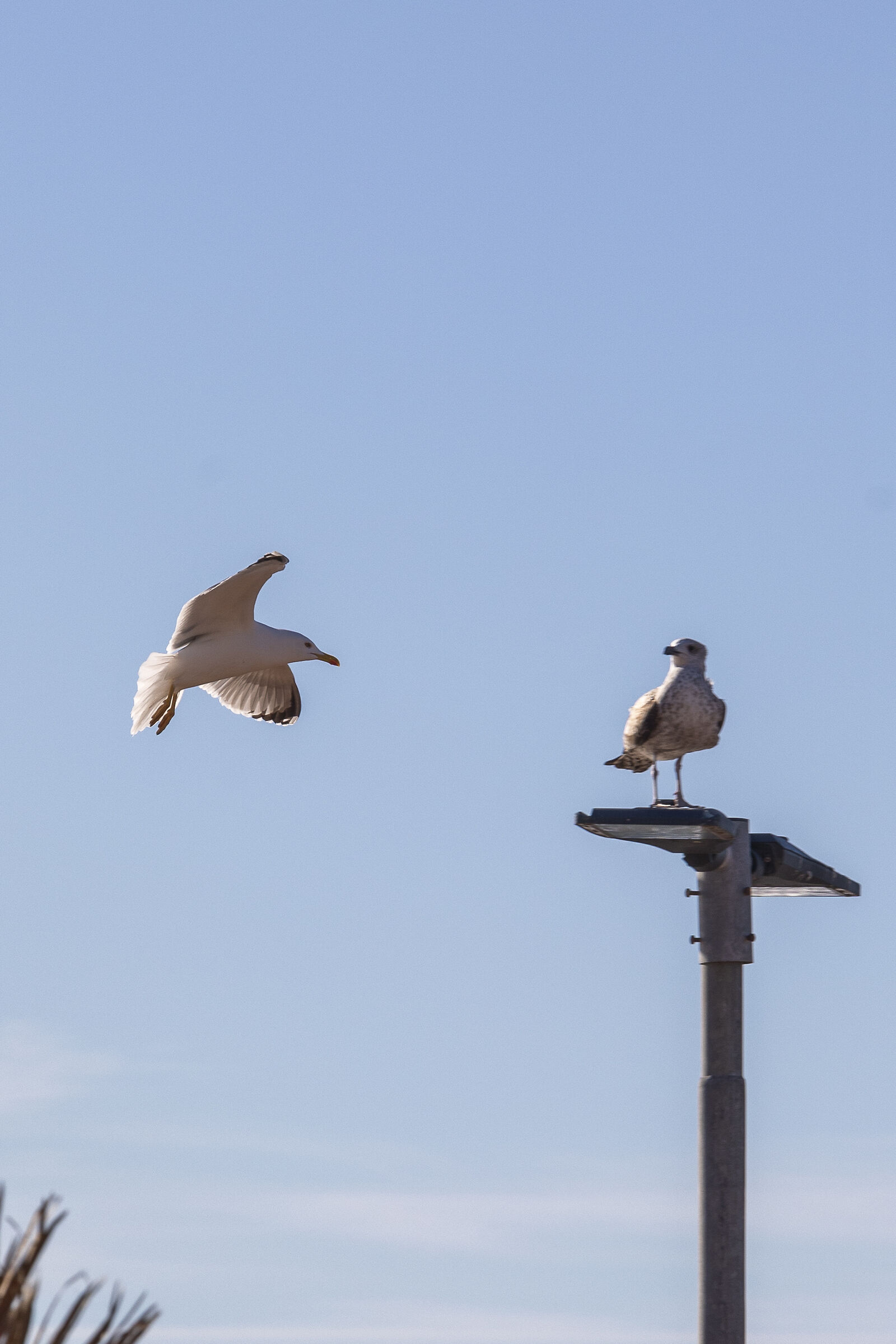 I'm coming, make room for me