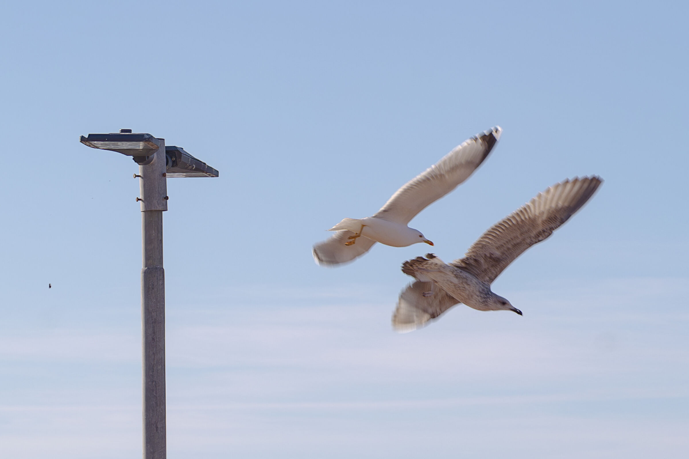 Soon that they are waiting for us