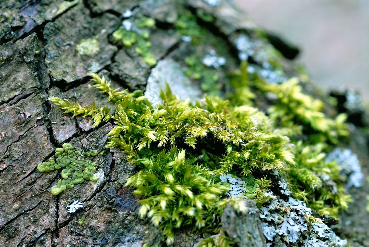 Primi tepori dopo l'inverno
