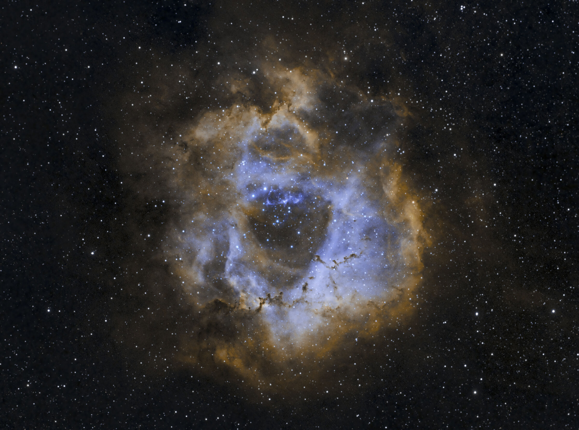 Nebulosa Rosetta