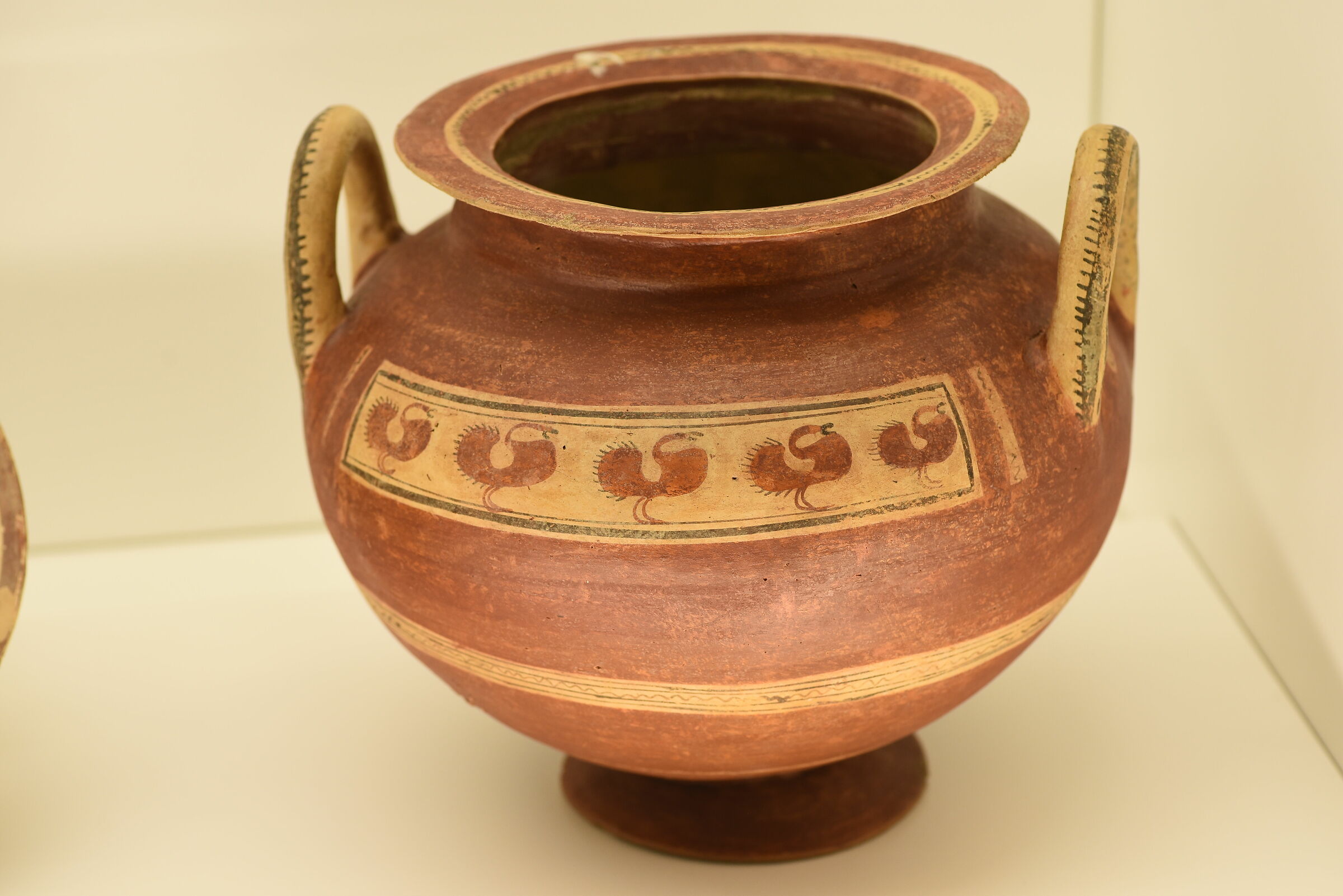 Tokina 100 F. 2.8 Atx- i - Nikon D 750