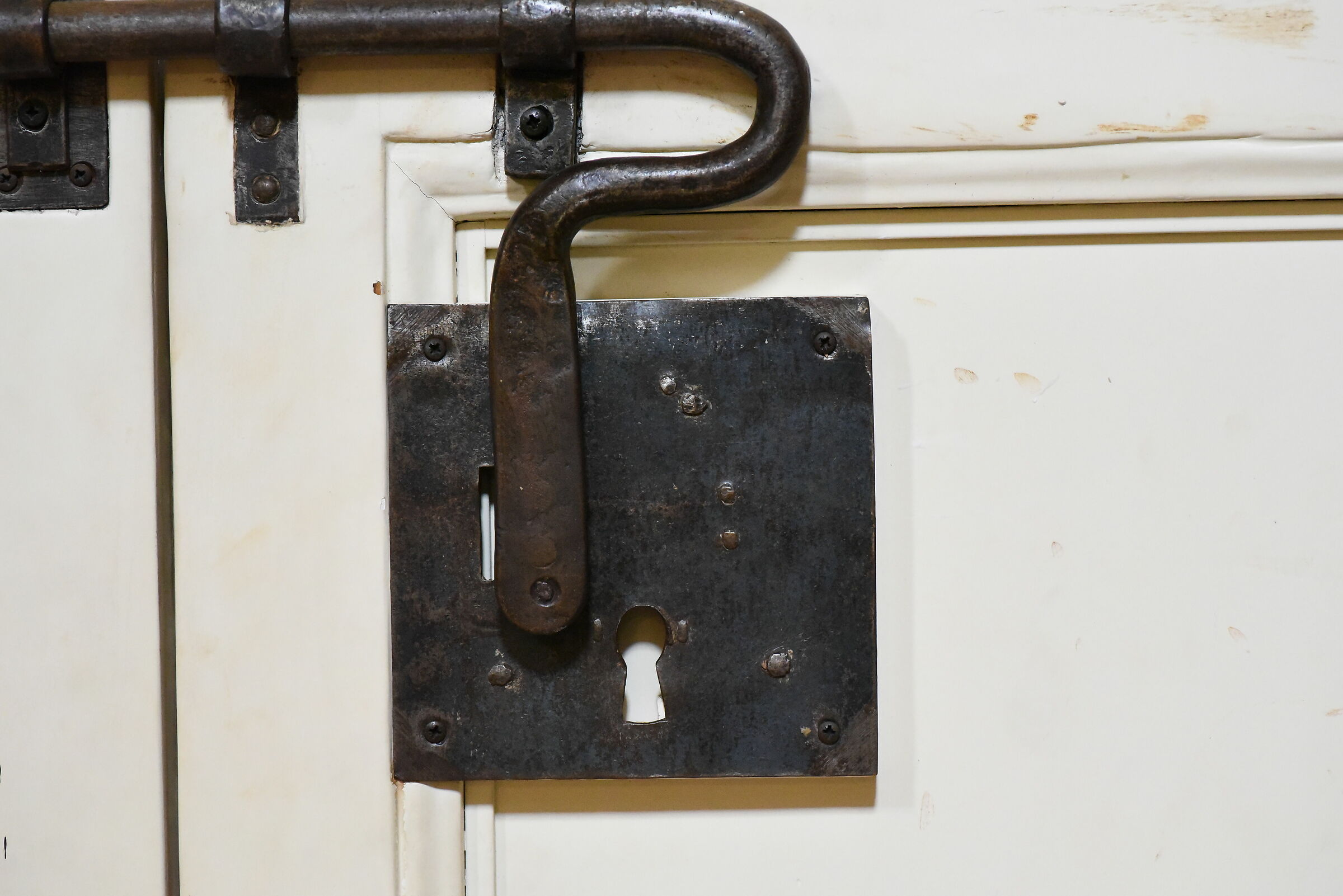 "ISO 12 Mila 800" Tokina 100 F. 2.8 Atx-i - Nikon ...