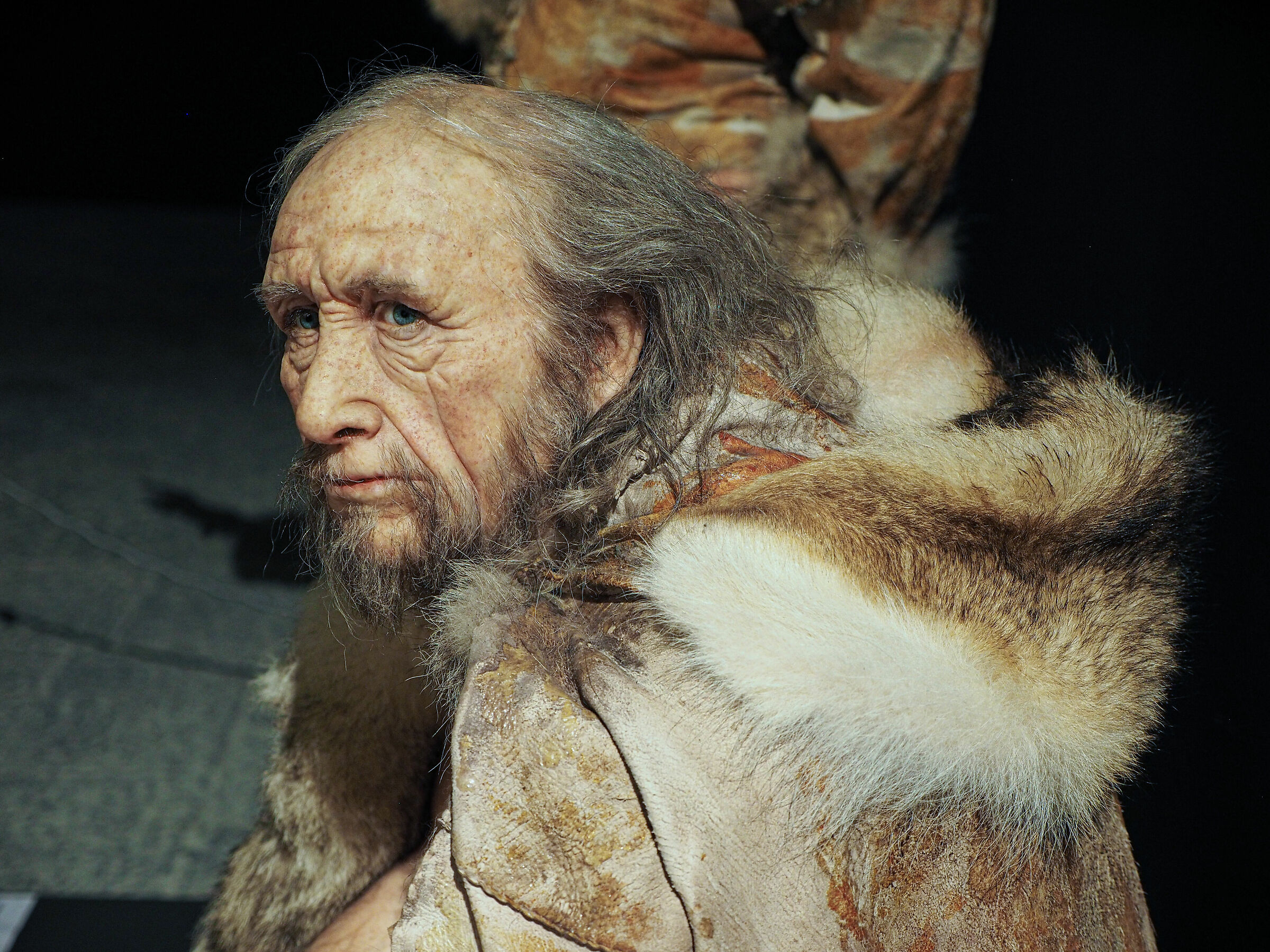 mostra Lascaux 3.0, mann (Na) Statua grandezza naturale