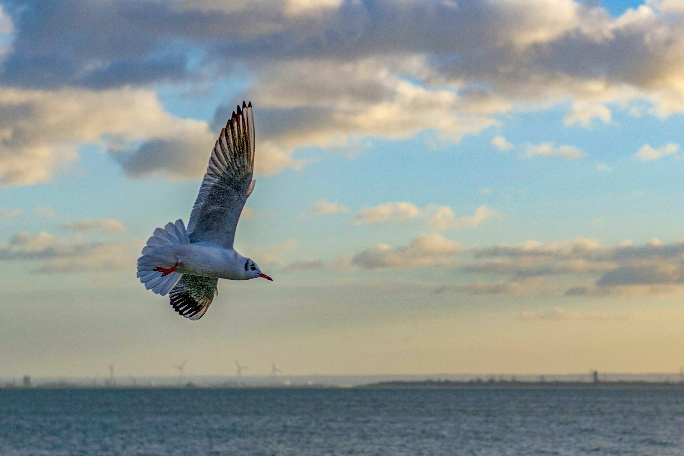 Southend (Essex) sul Tamigi con vista sul Kent