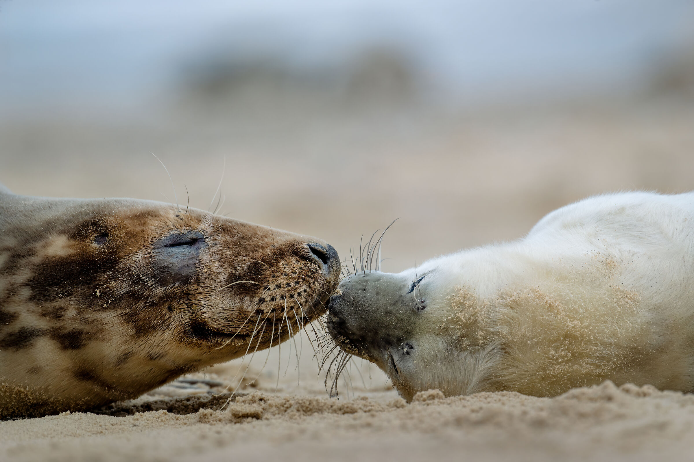 The eyes of love