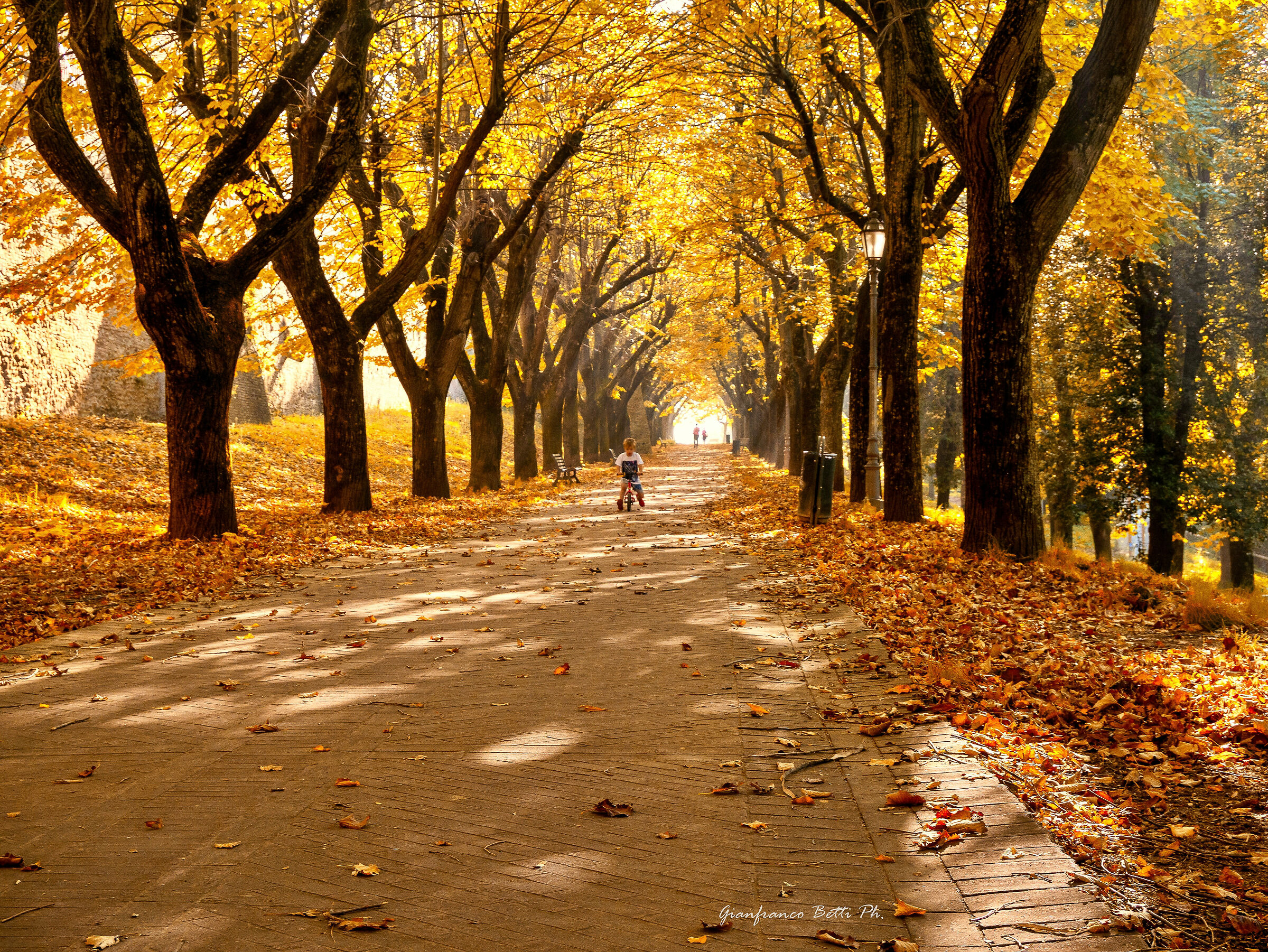Autunno nel viale