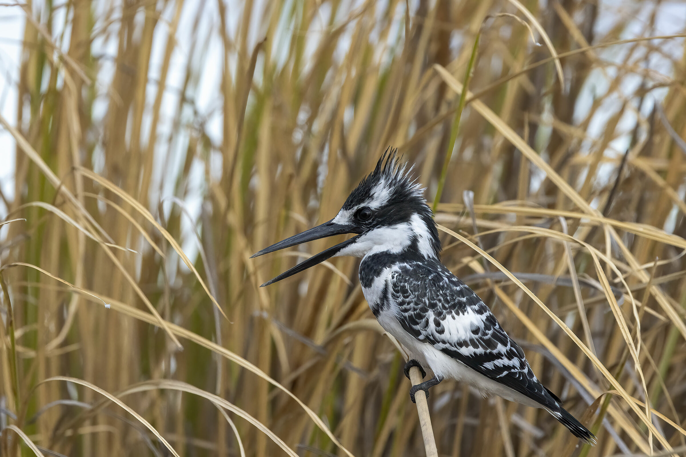 Botswana luglio 2022