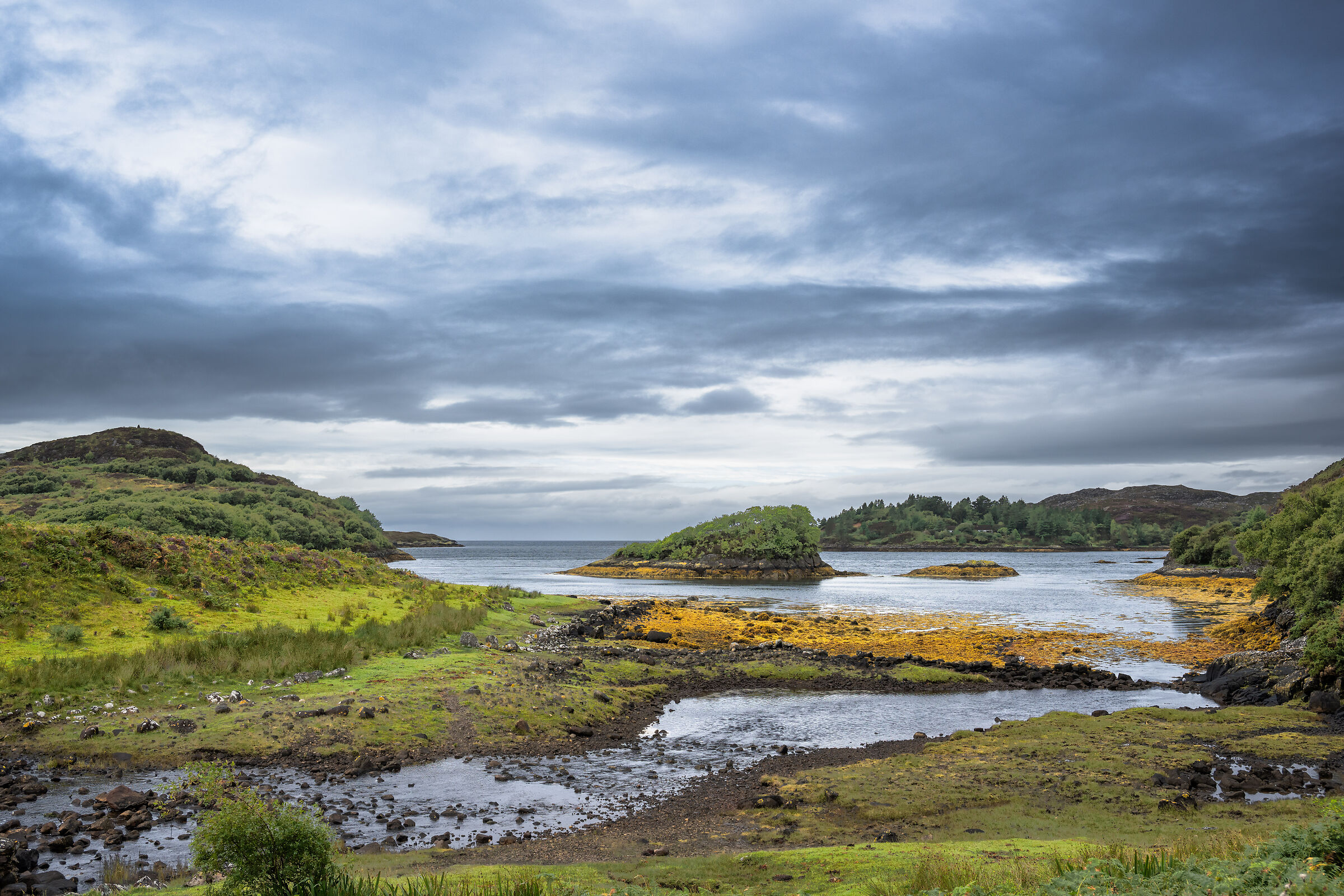 Scotland seaside wild nature