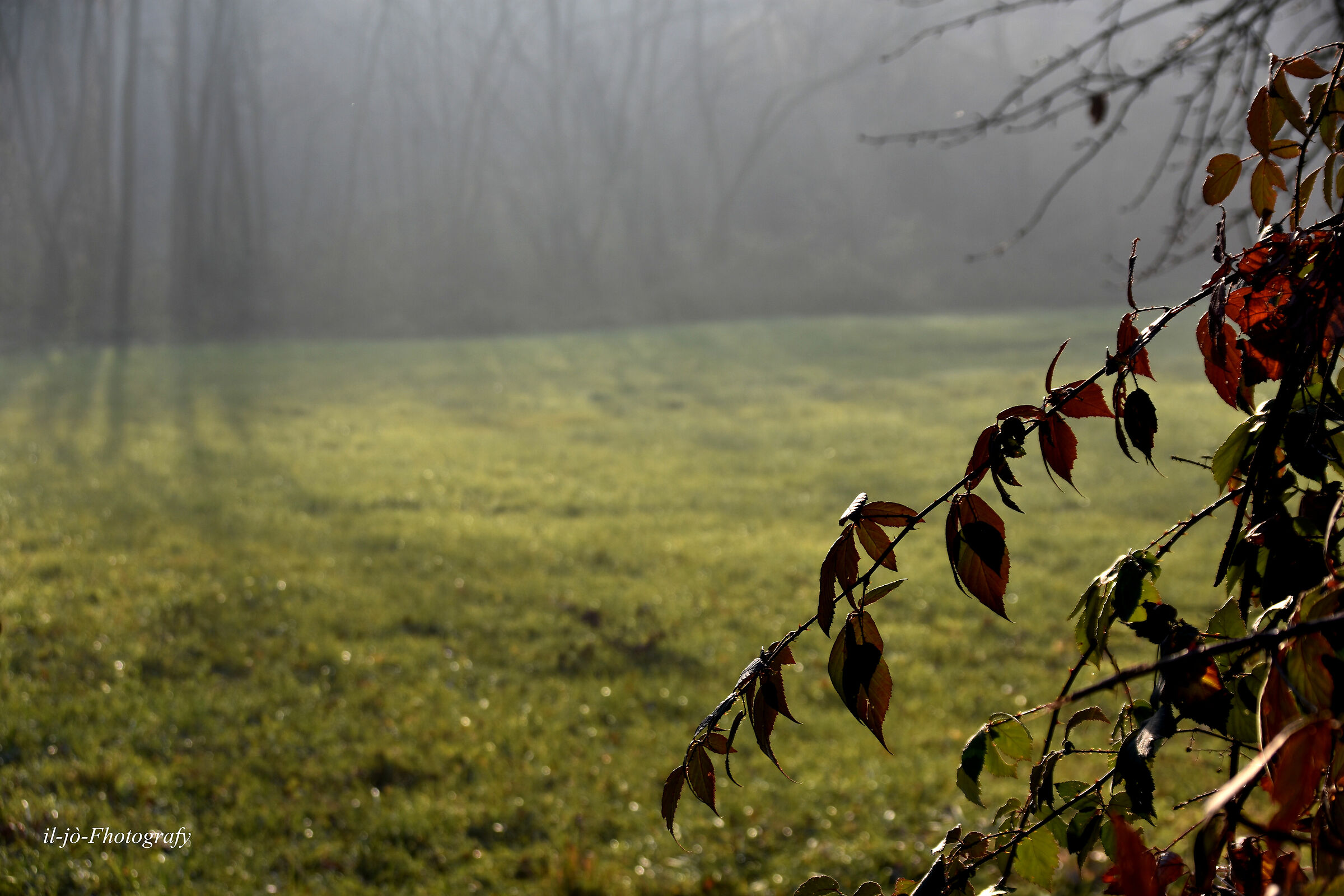 Untitled Photo