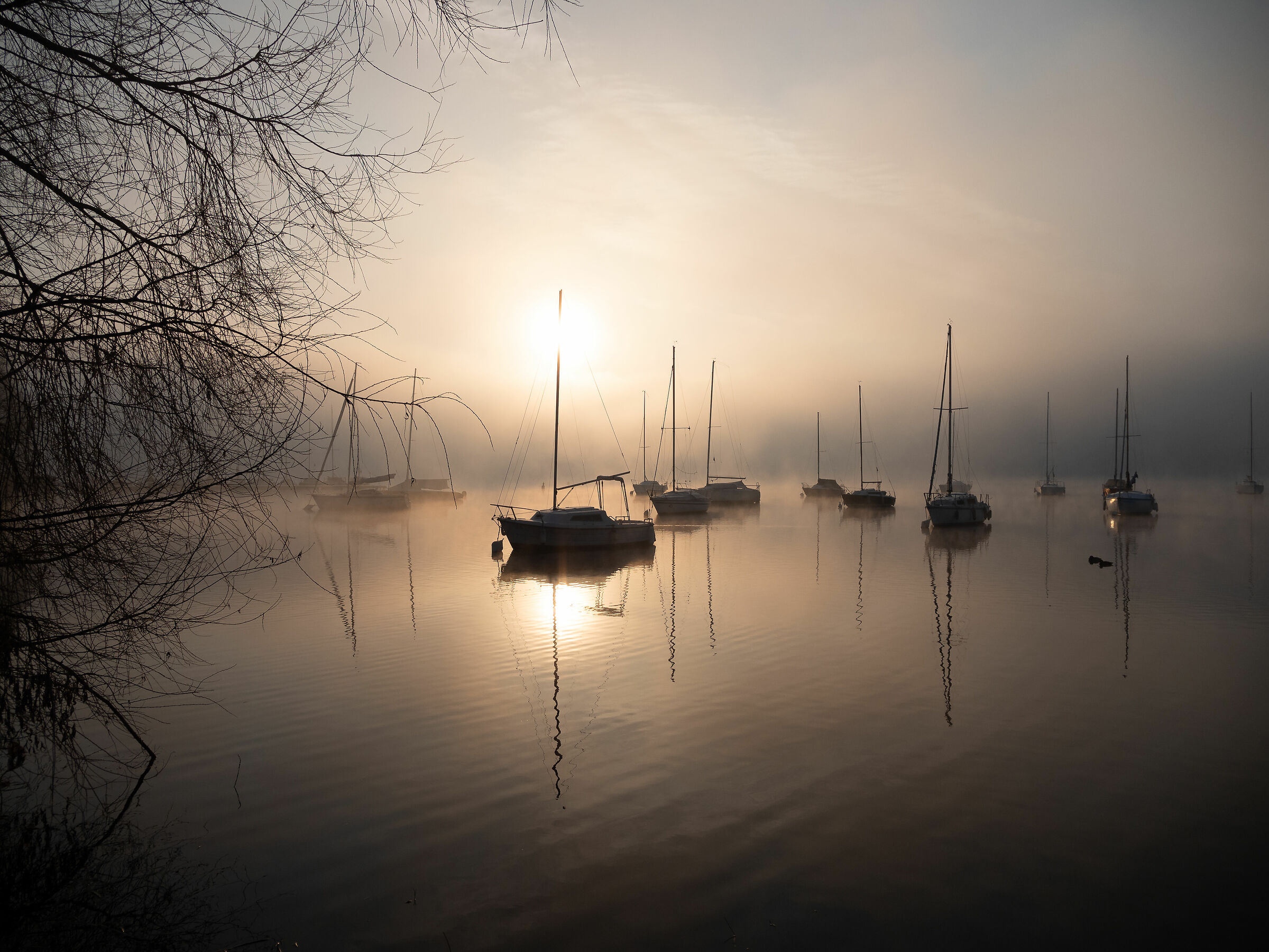 Sunrise in Anzasco 2