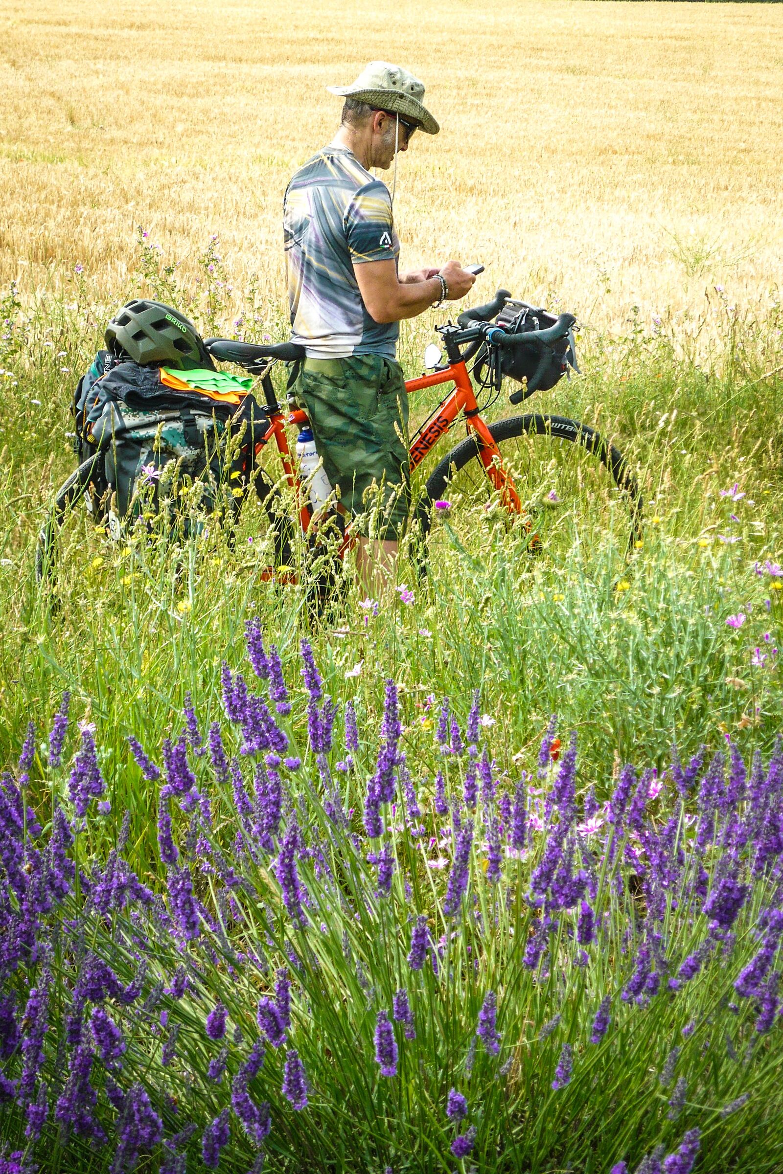 Cycling trip to Provence