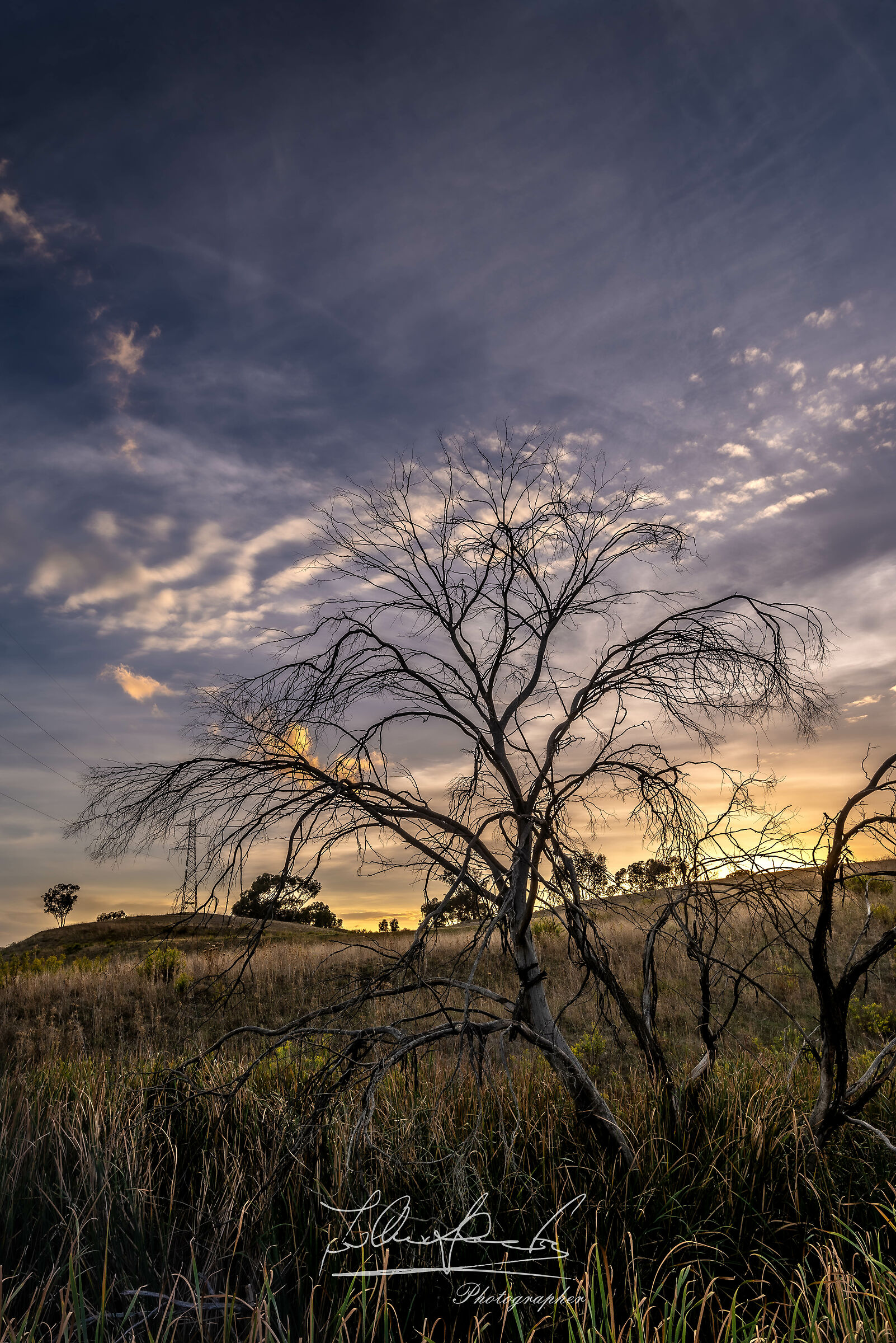 Still Life at Sunset 2023