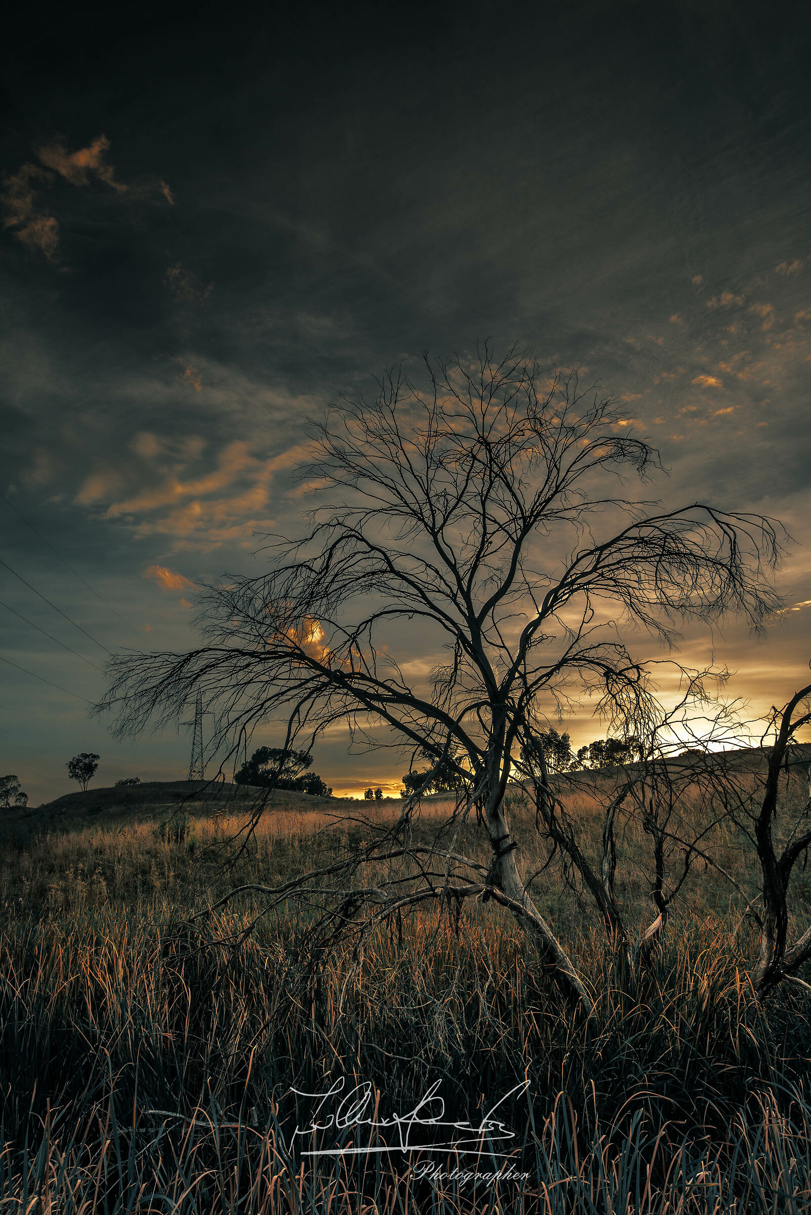 Natura Morta al Tramonto 2023  3