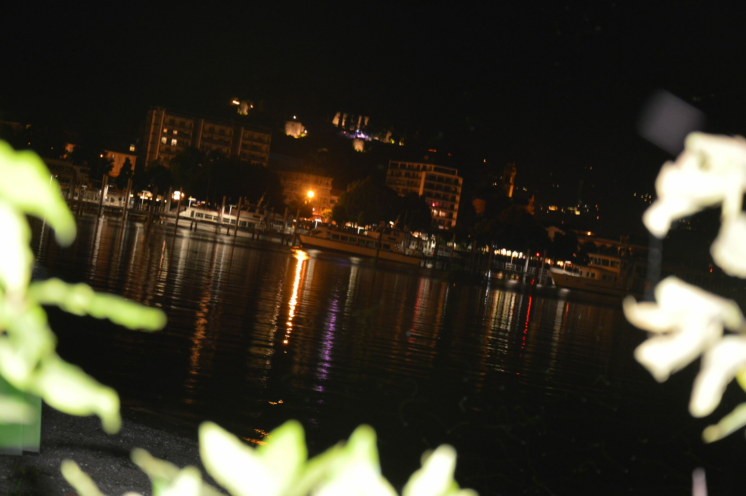 Untitled Photo