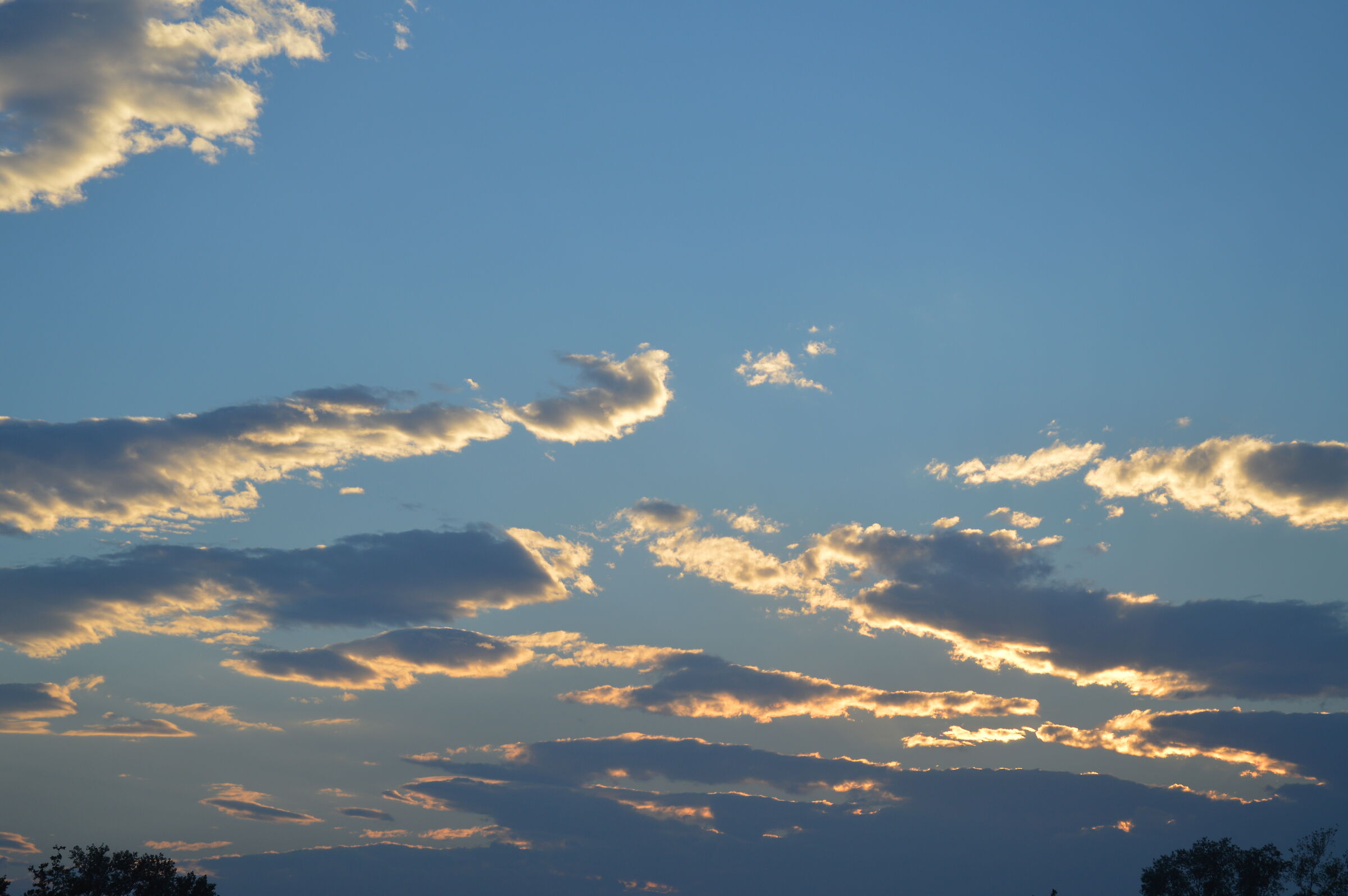 Untitled Photo
