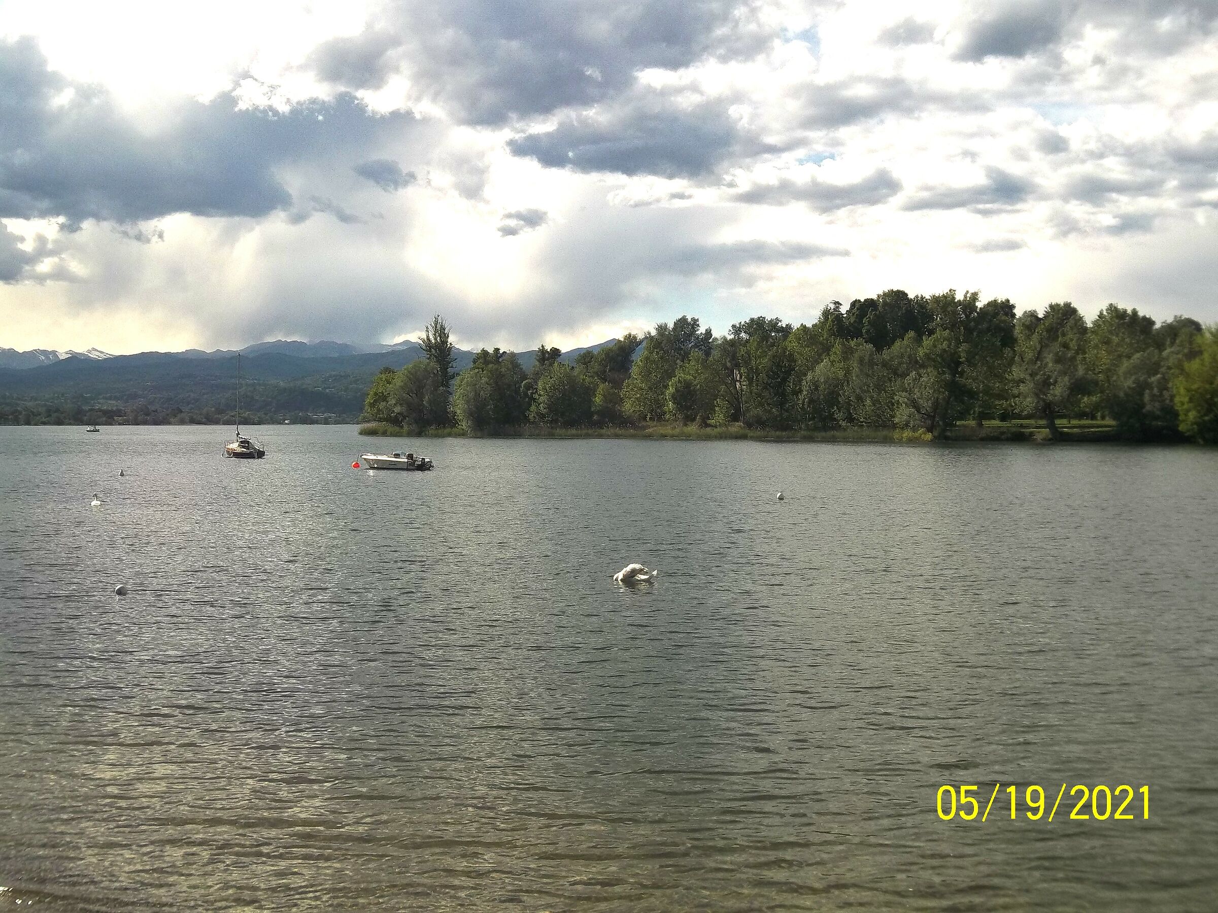 Untitled Photo