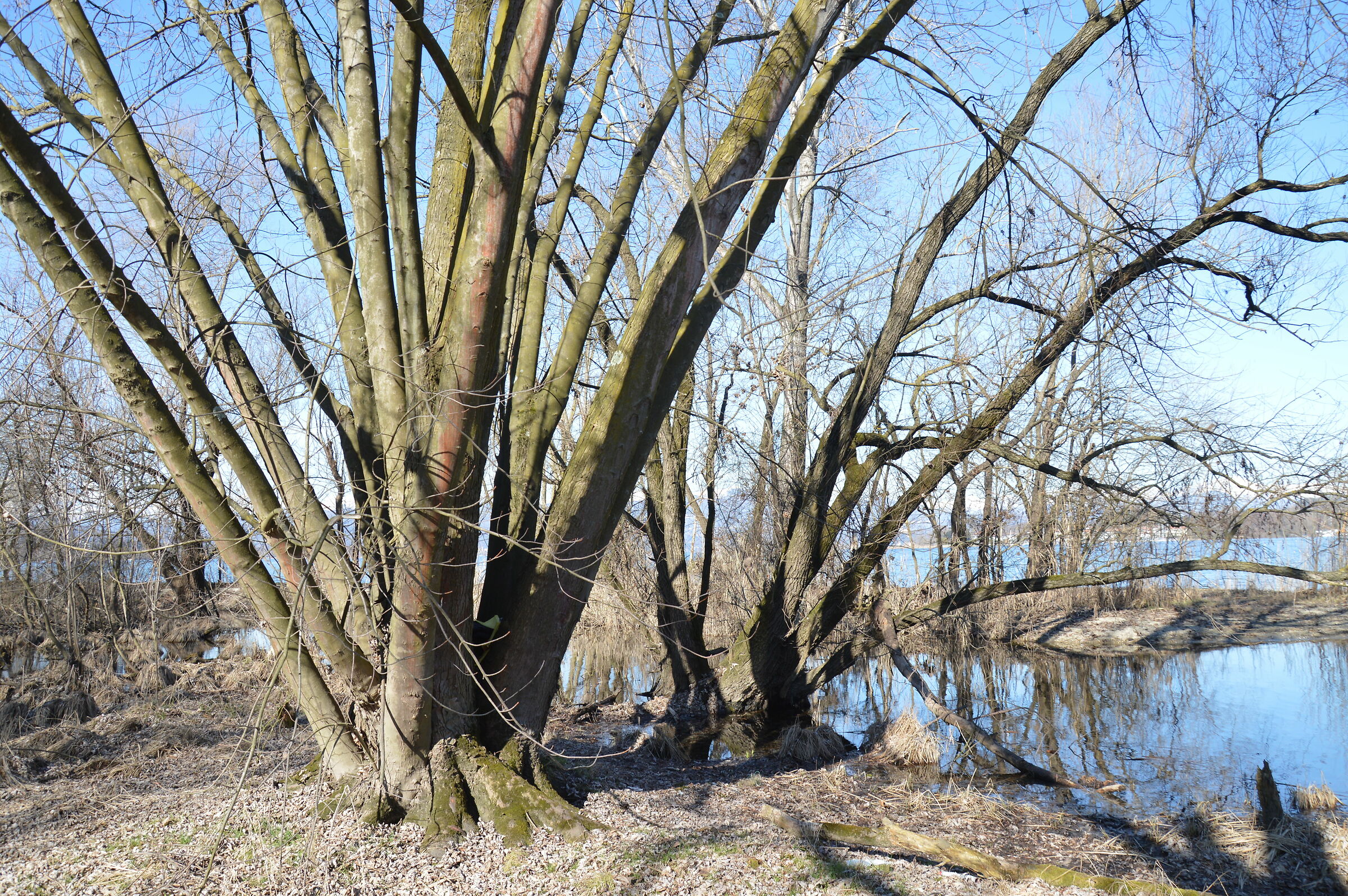 Untitled Photo