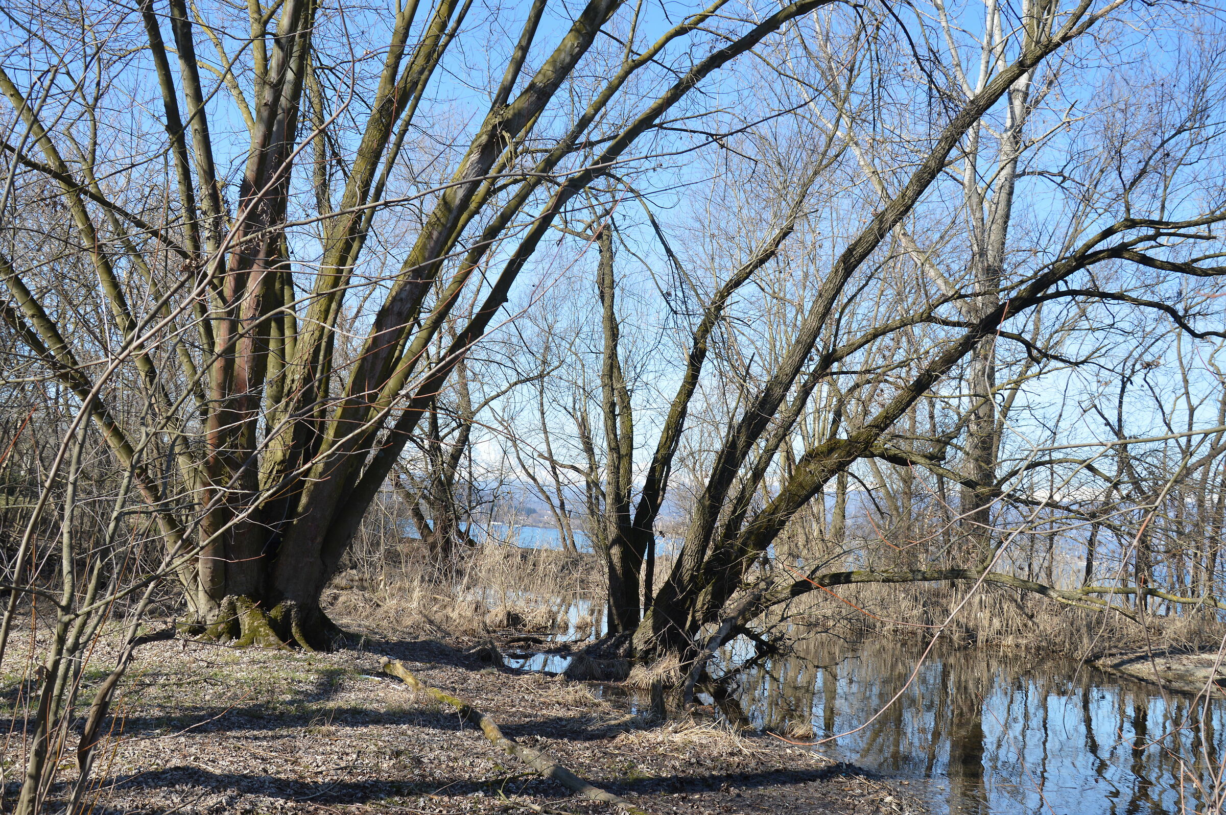 Untitled Photo