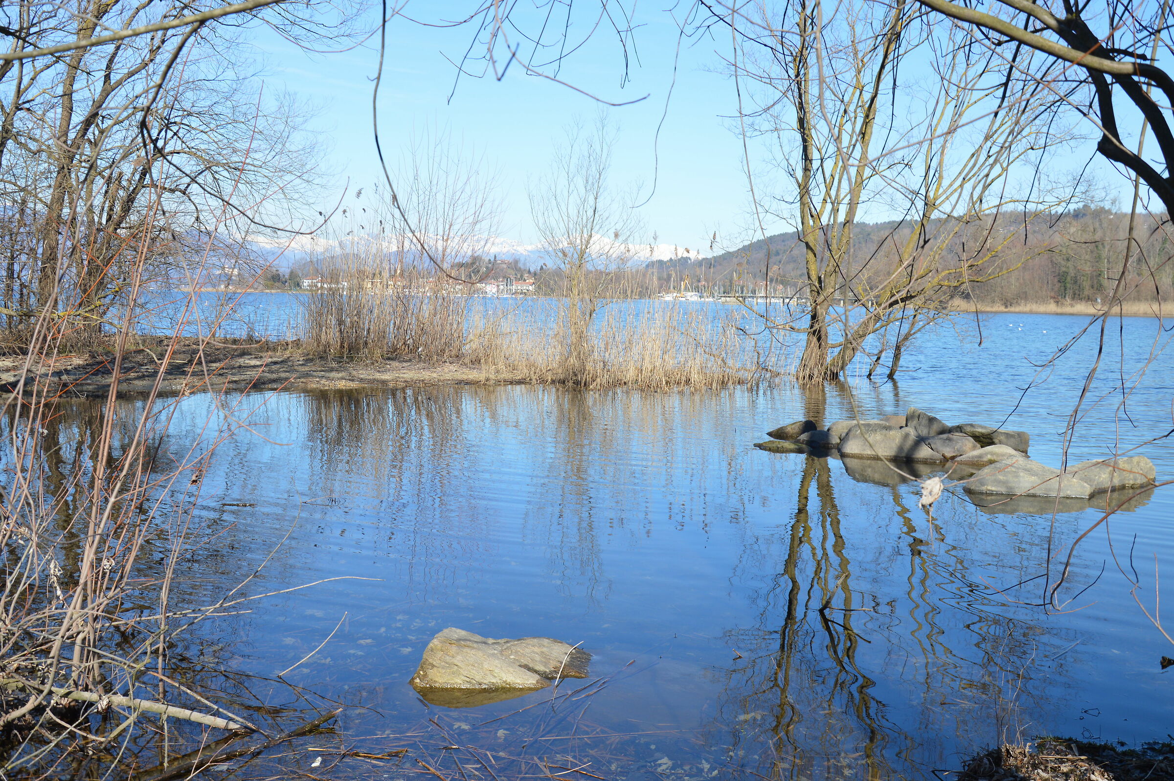 Untitled Photo