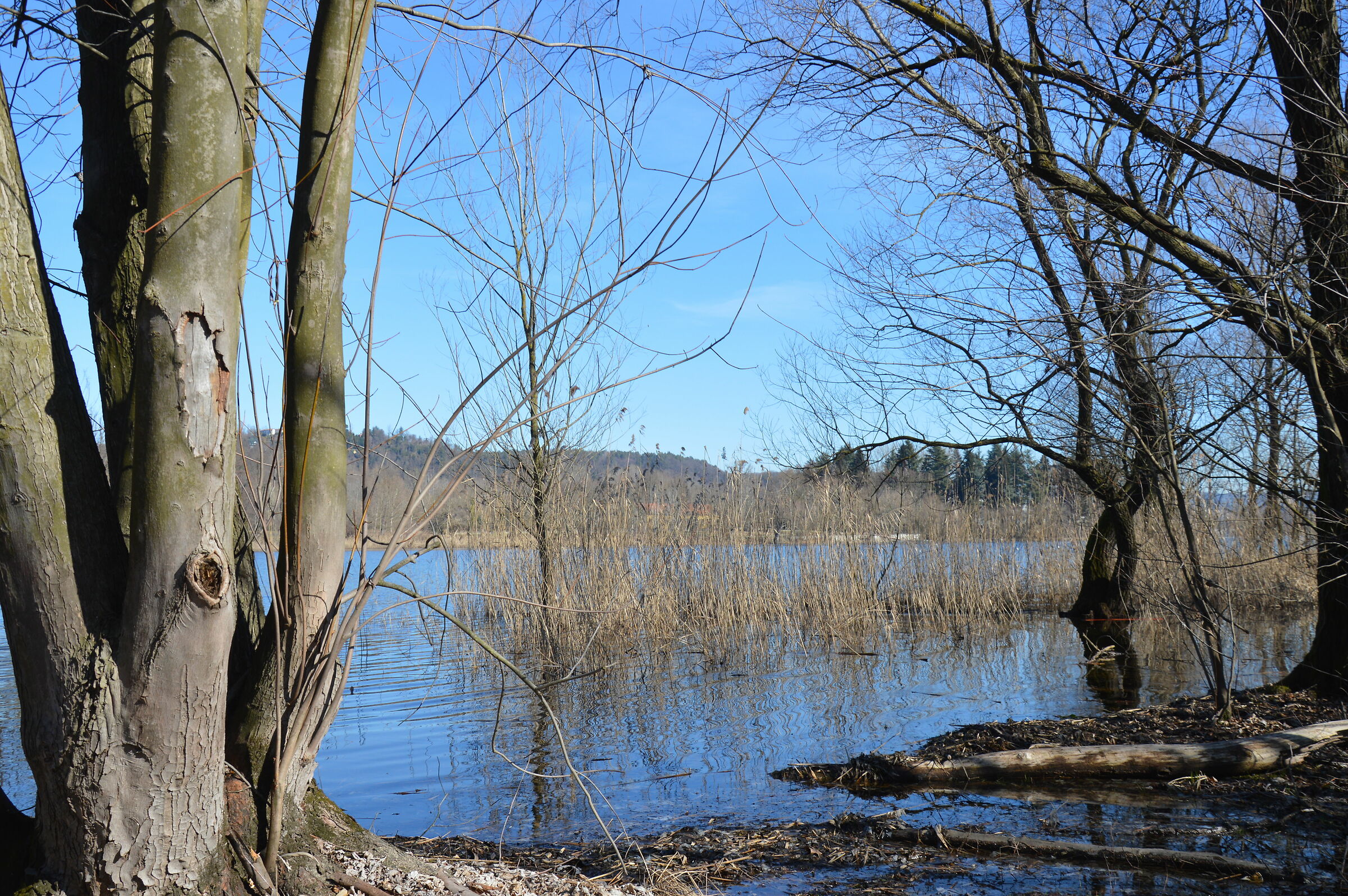 Untitled Photo