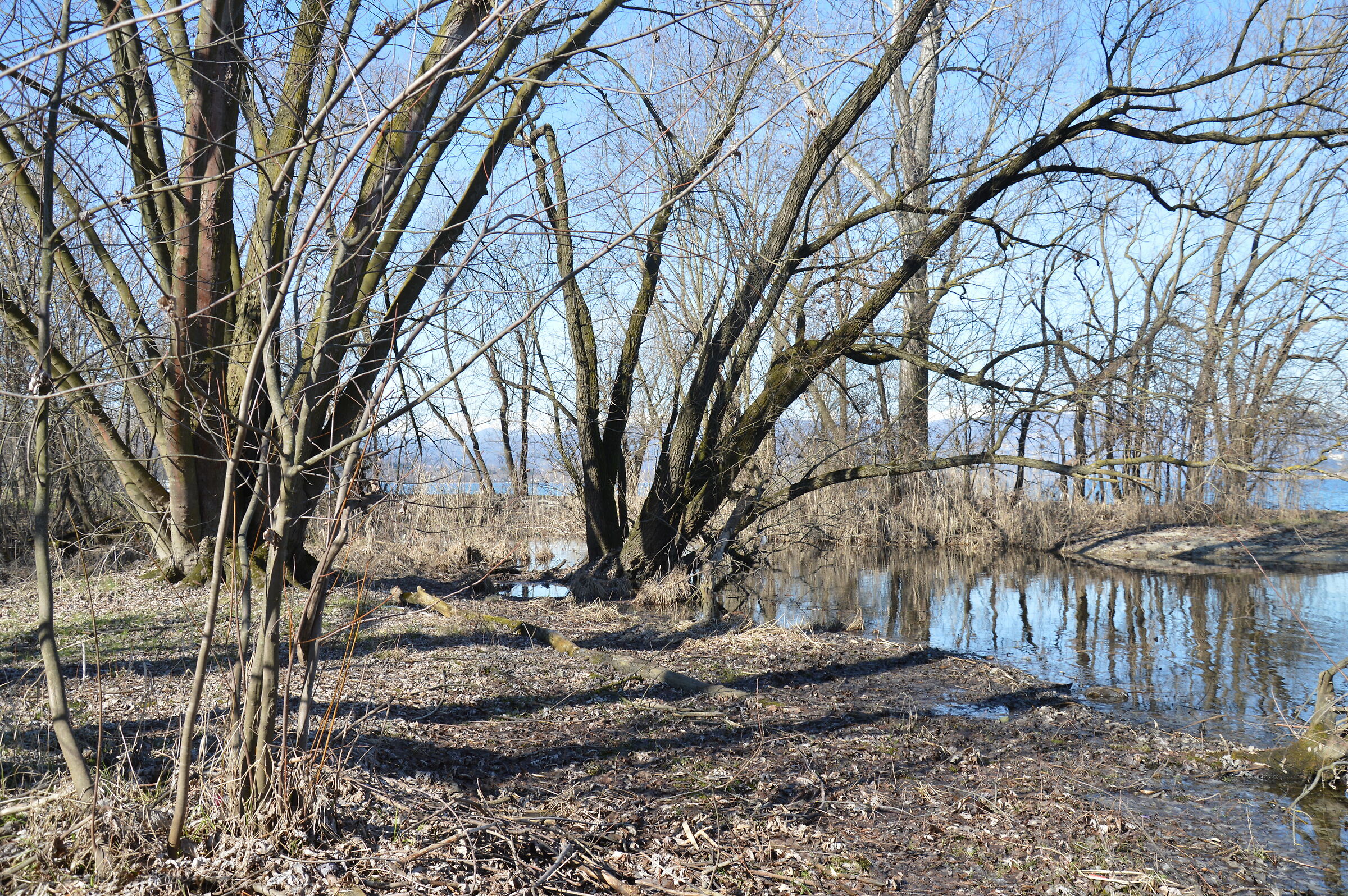 Untitled Photo