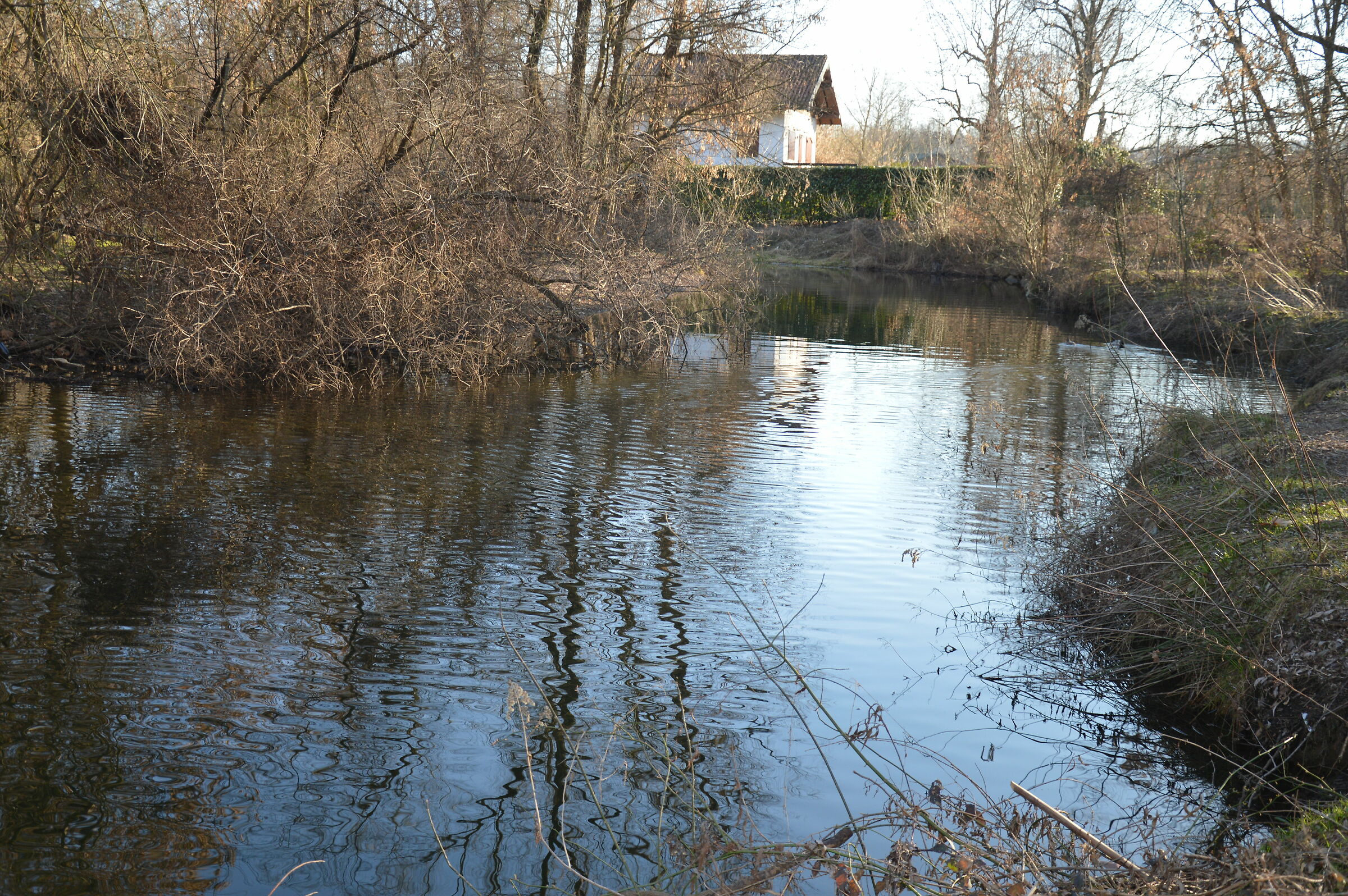 Untitled Photo