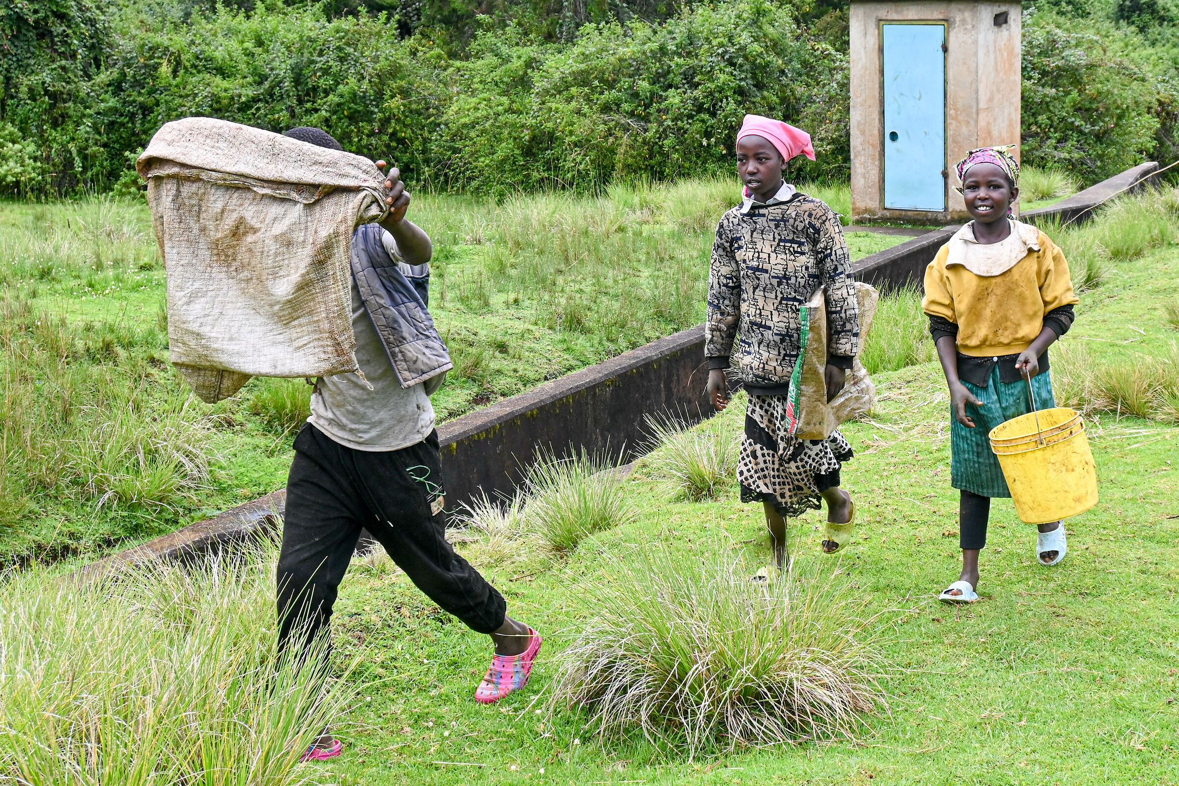 Back from the fields