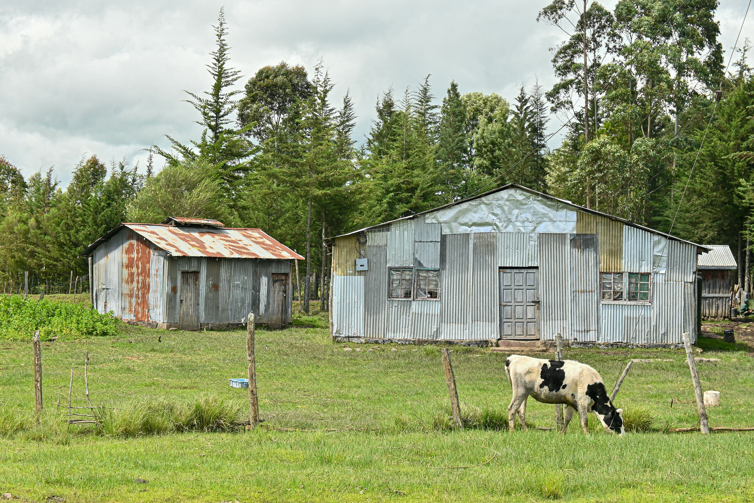 Altro esempio di abitazione