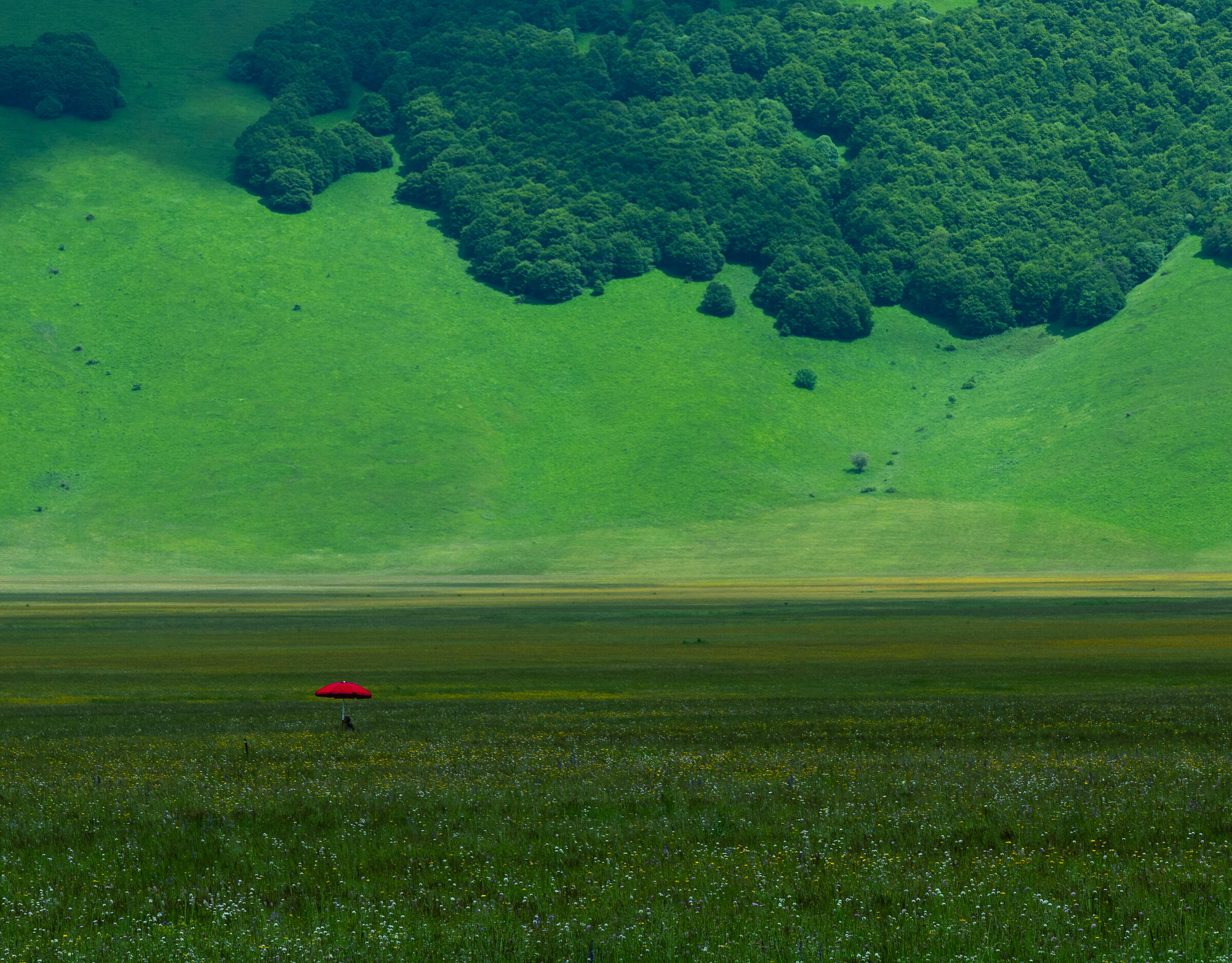 Castelluccio # red