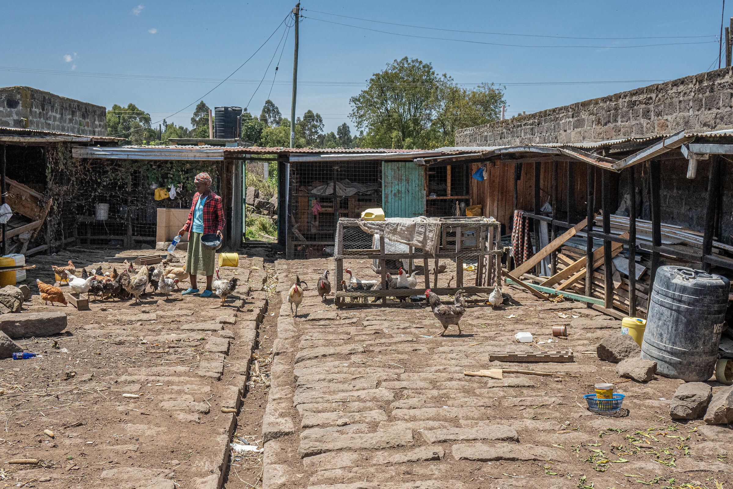 Interior of a courtyard!