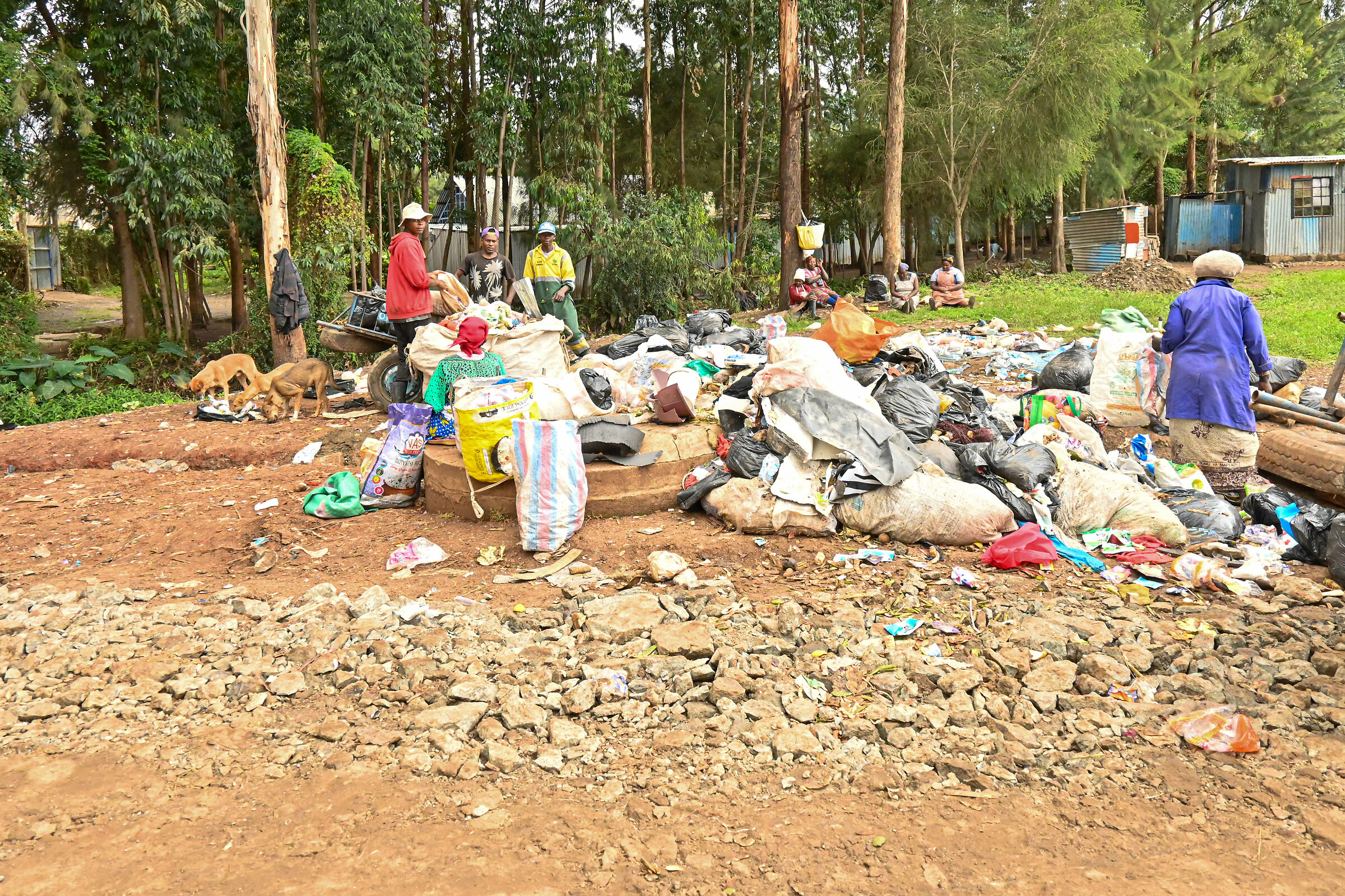 In the middle of the garbage!