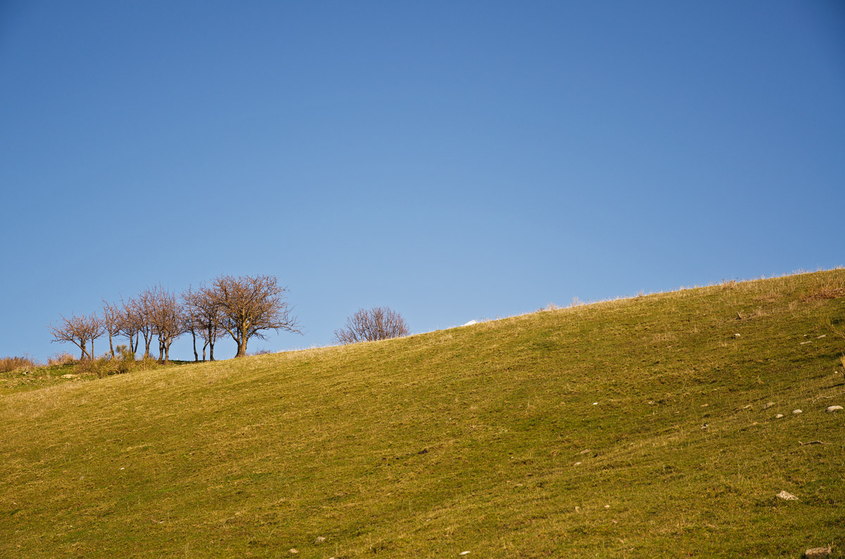 Where they meet the winds