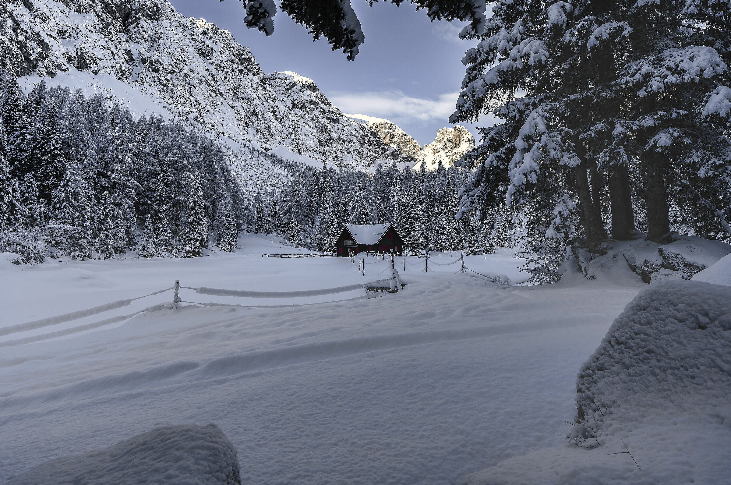 Baita Winkel alpi carniche