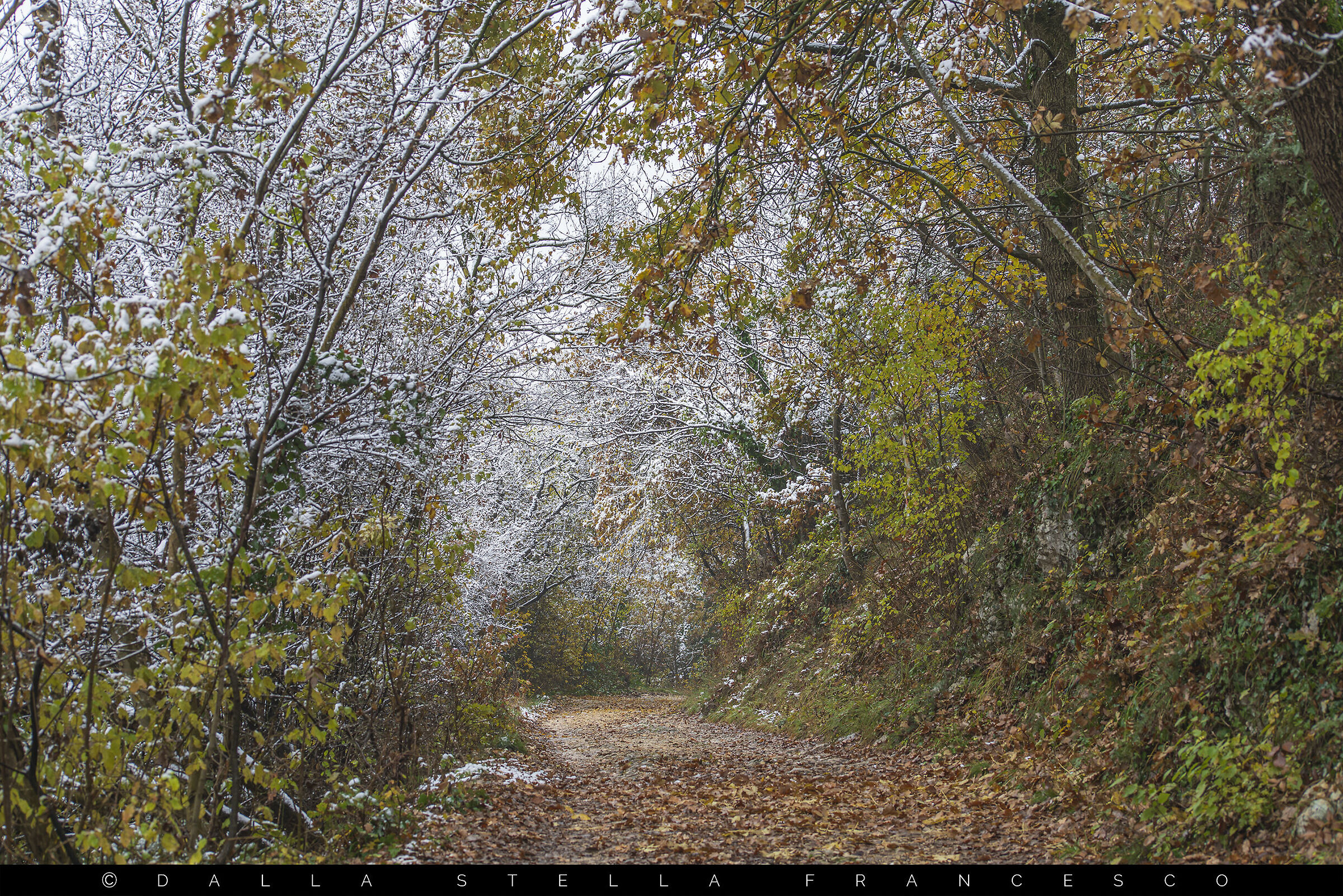Tra l'autunno e l'inverno