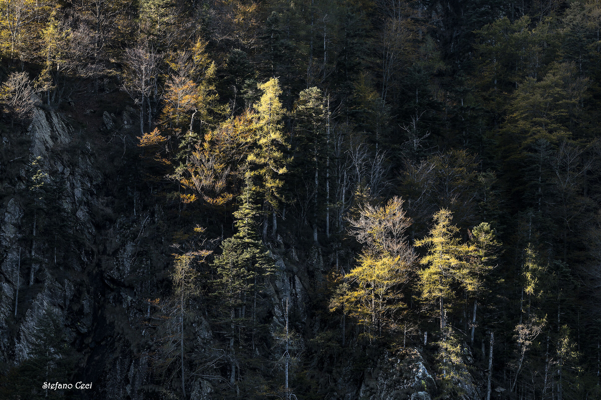 Landscape in Val Grande