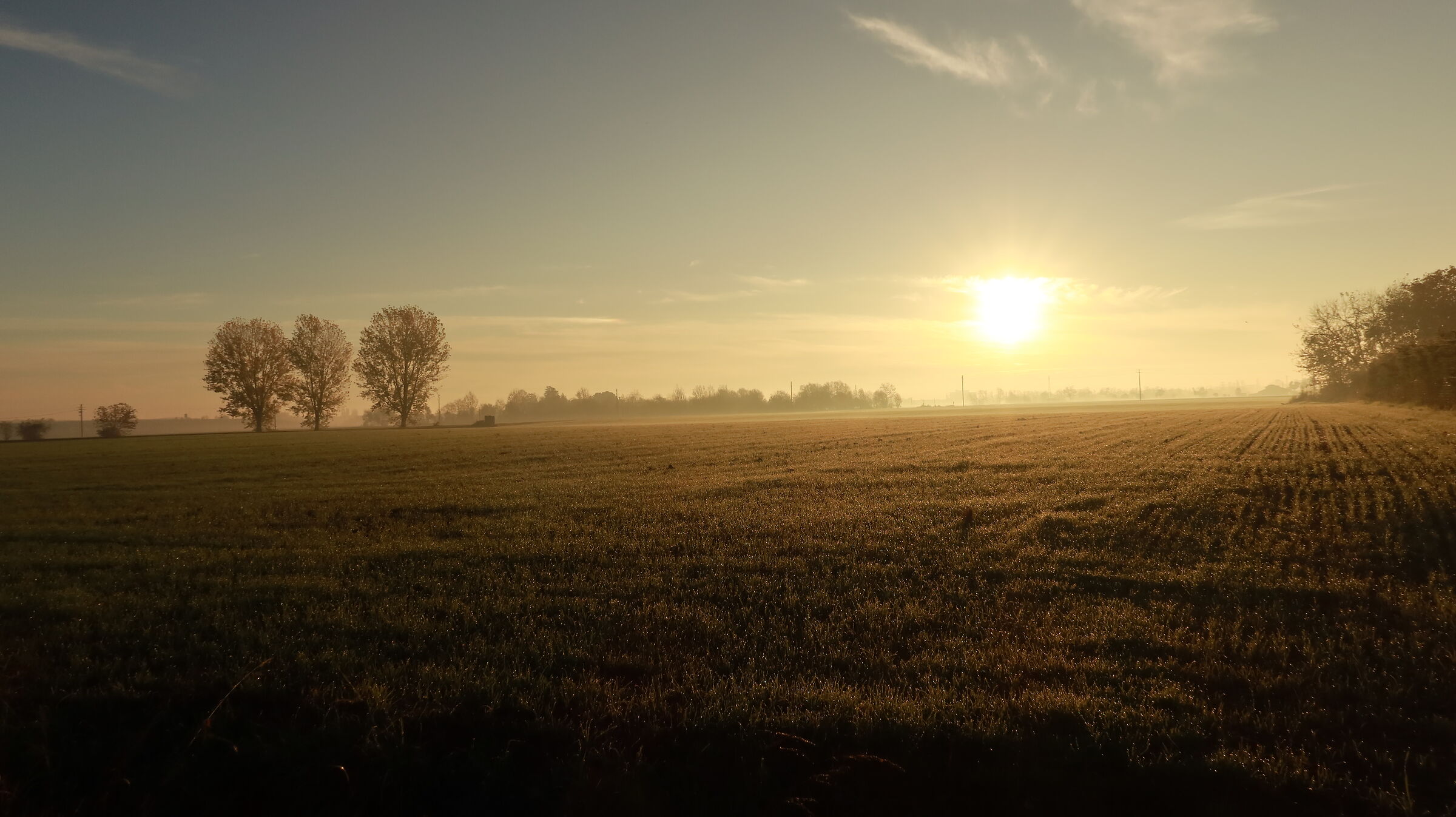 Alba sui campi