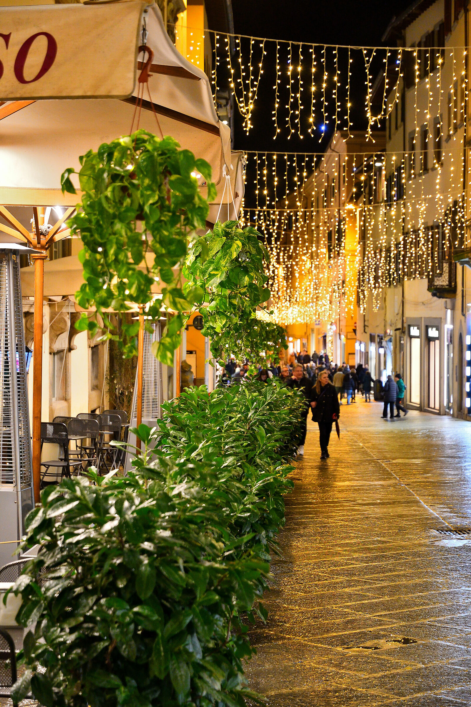 Arezzo - C.so Italia