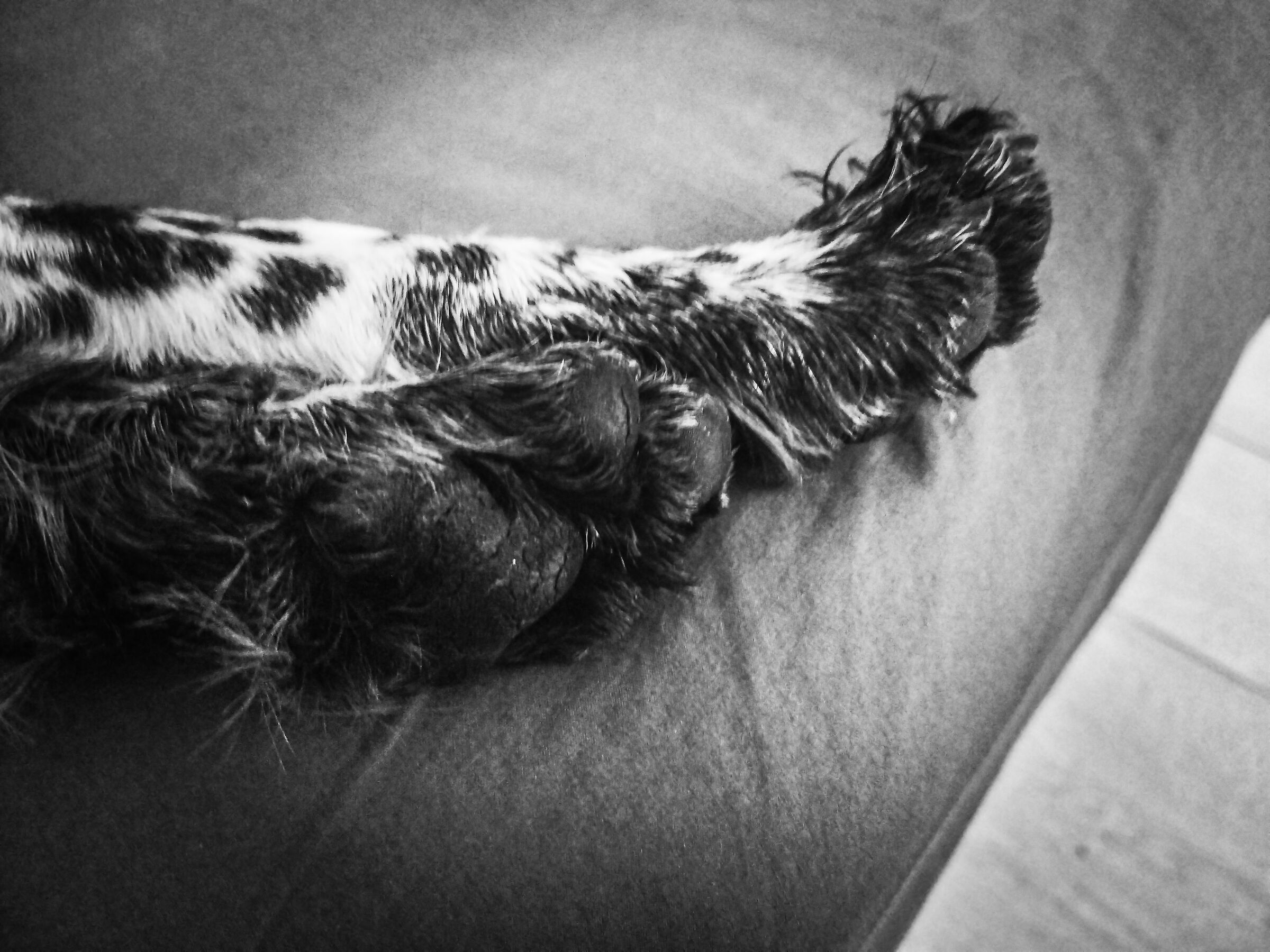 Il riposo del guerriero