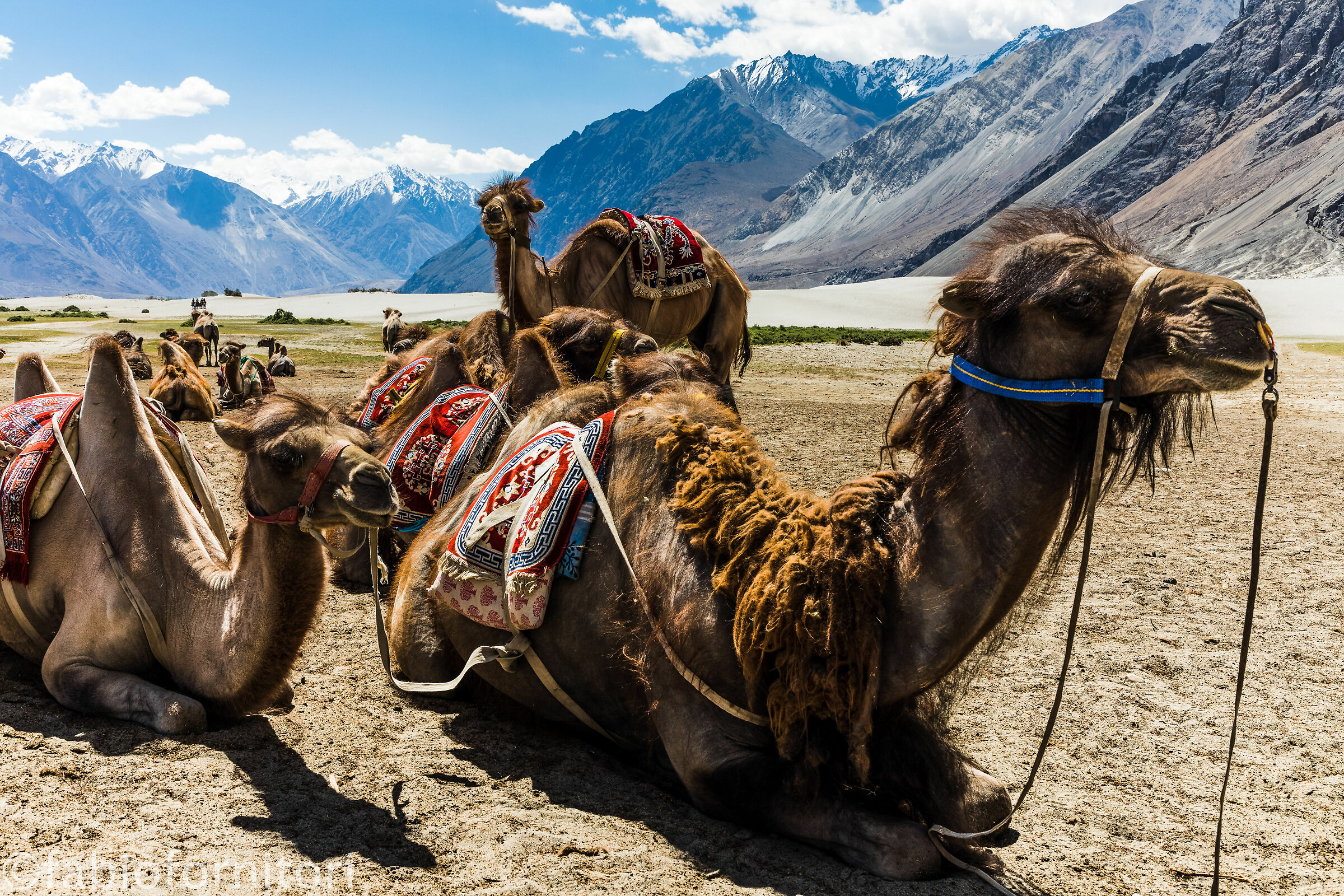 Nubra valley , Hunder 2, Ladakh, India 2023