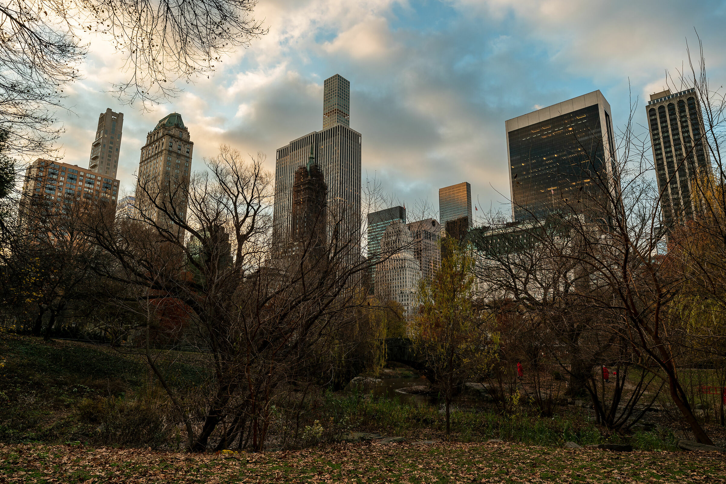 Dawn in Central Park