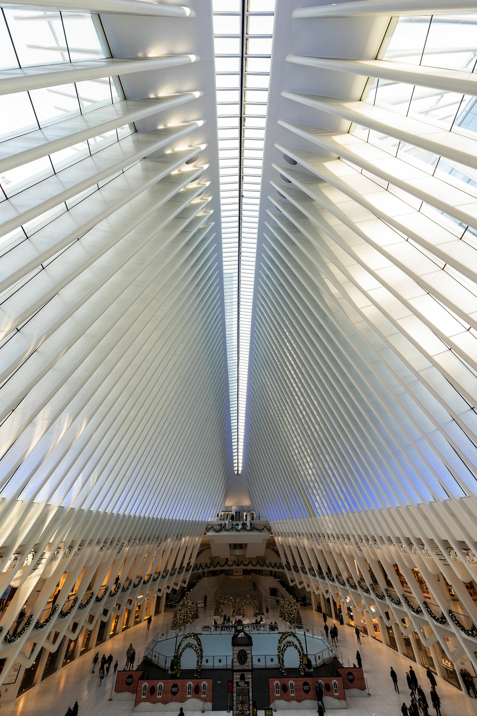 The Oculus