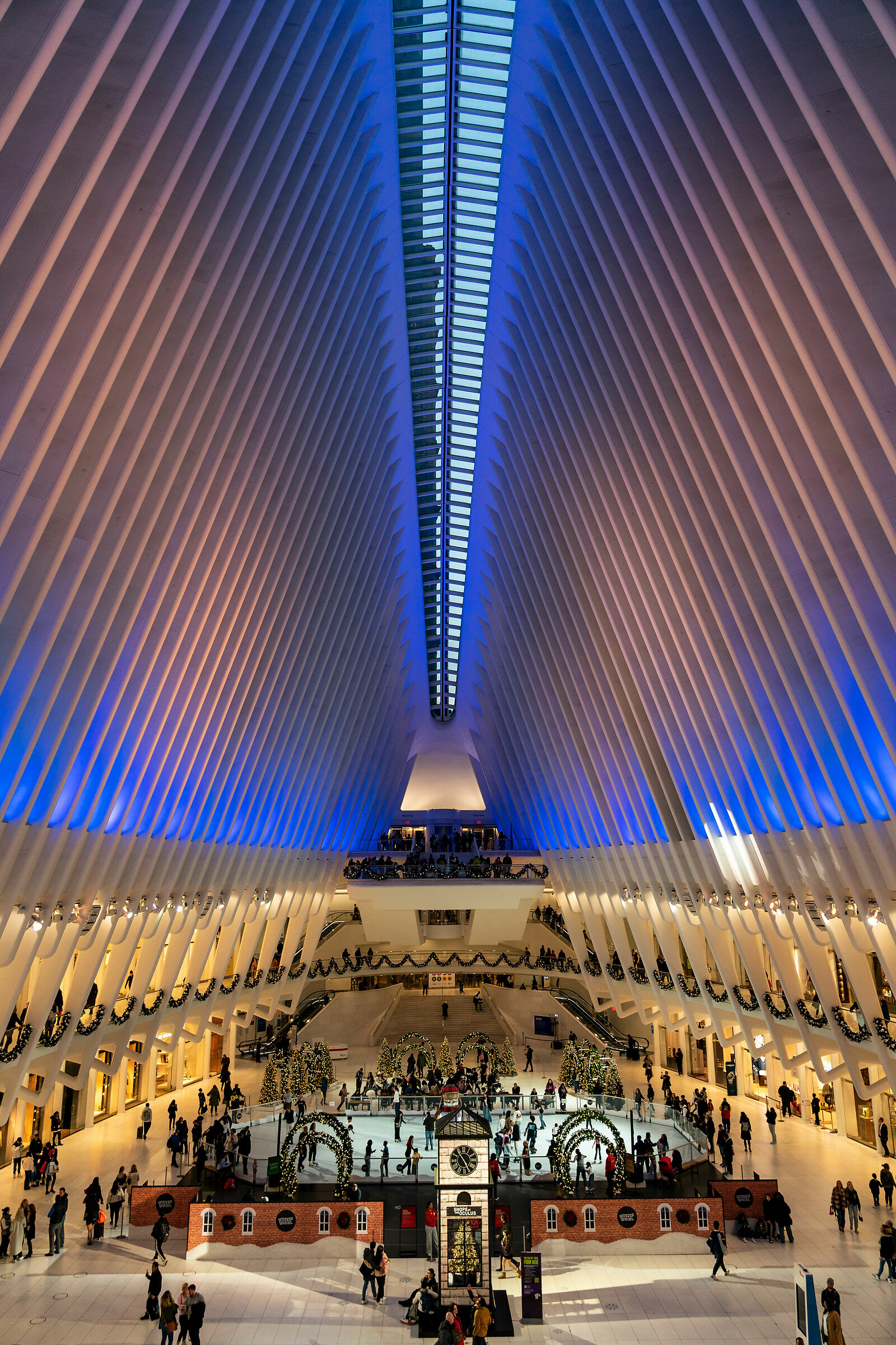The Oculus