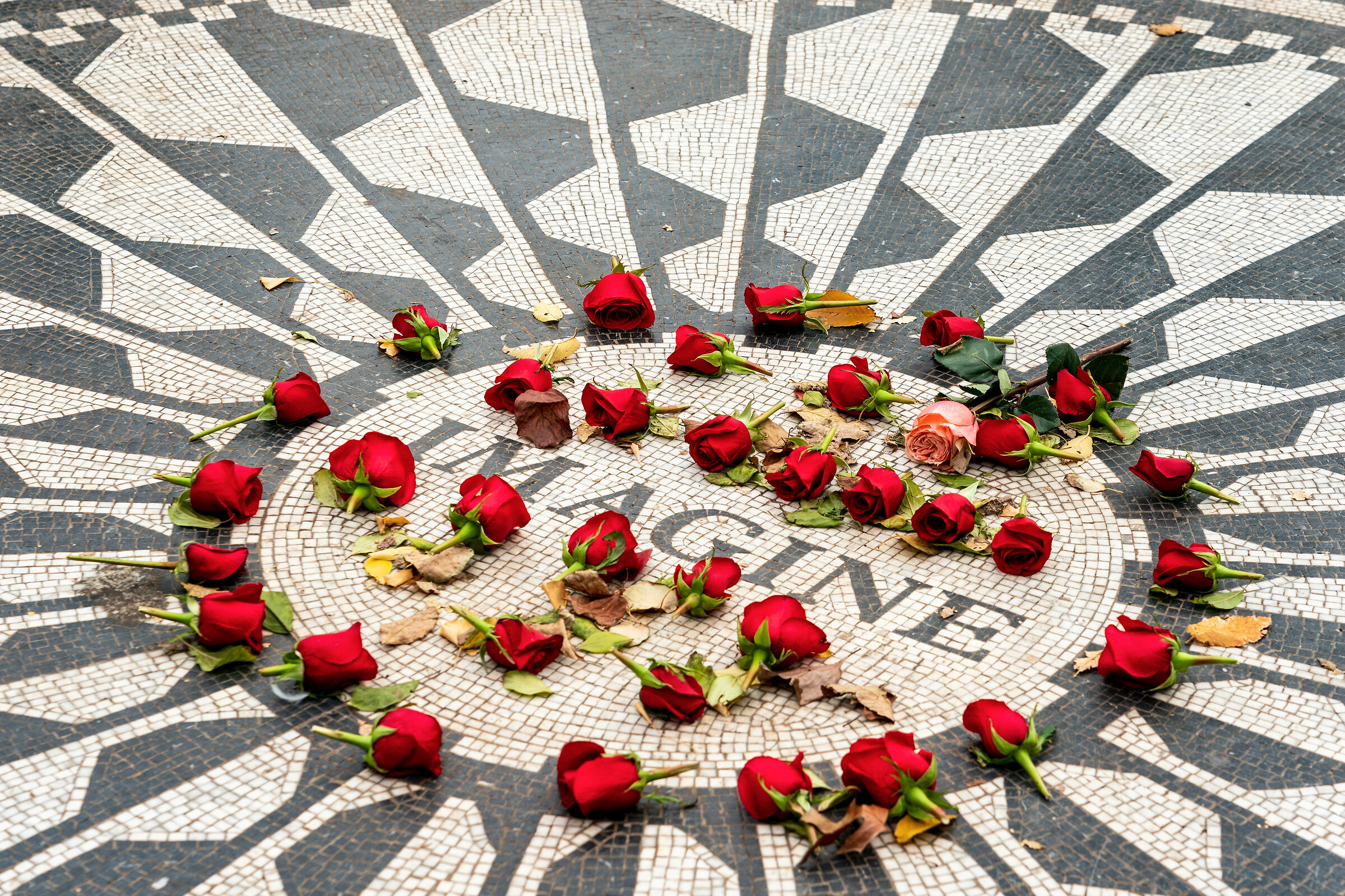 You may say, I'm a dreamer but I am not the only one