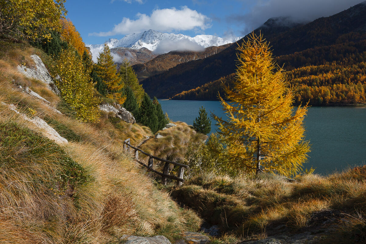 Walking in the sun ...